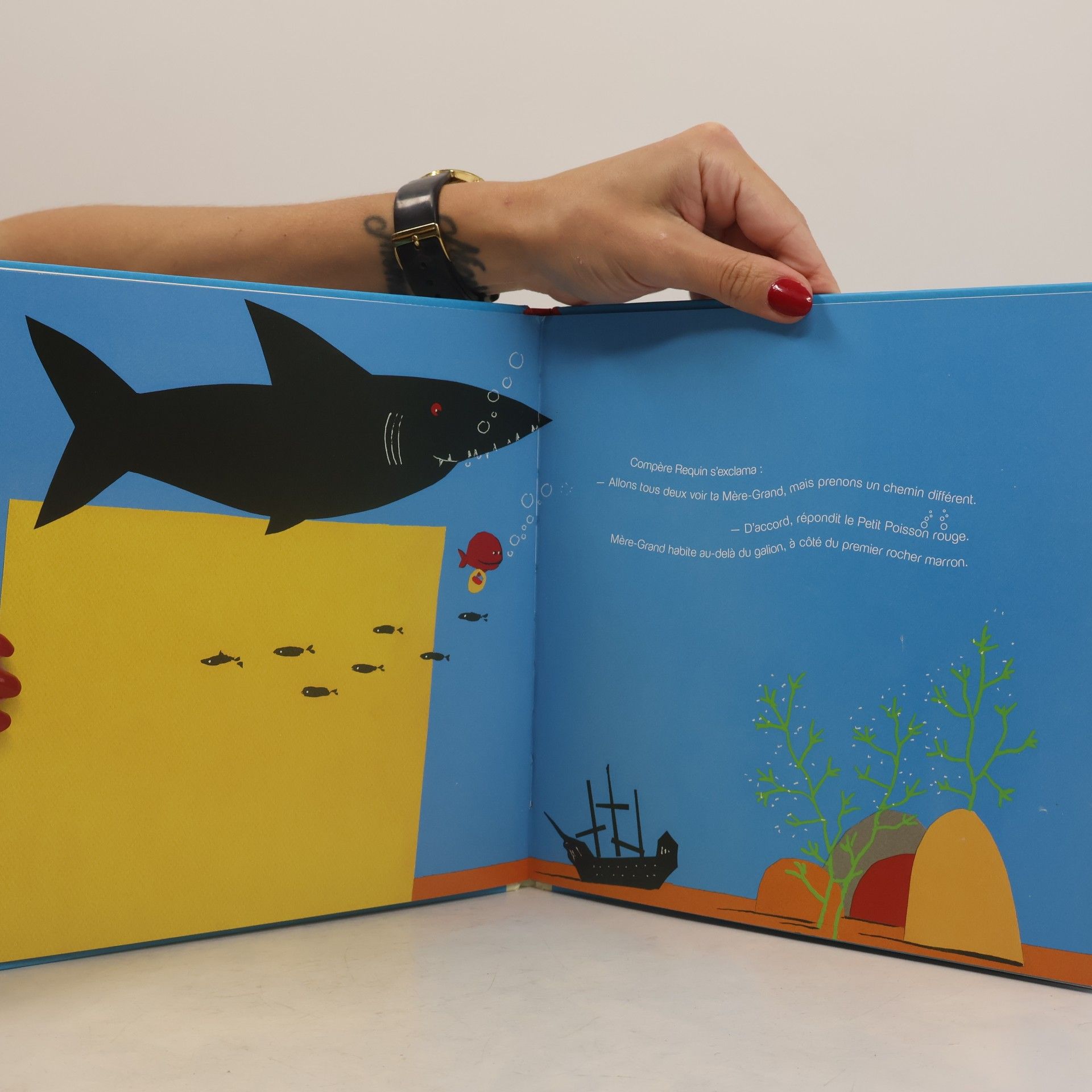 Éric Battut Le petit poisson rouge