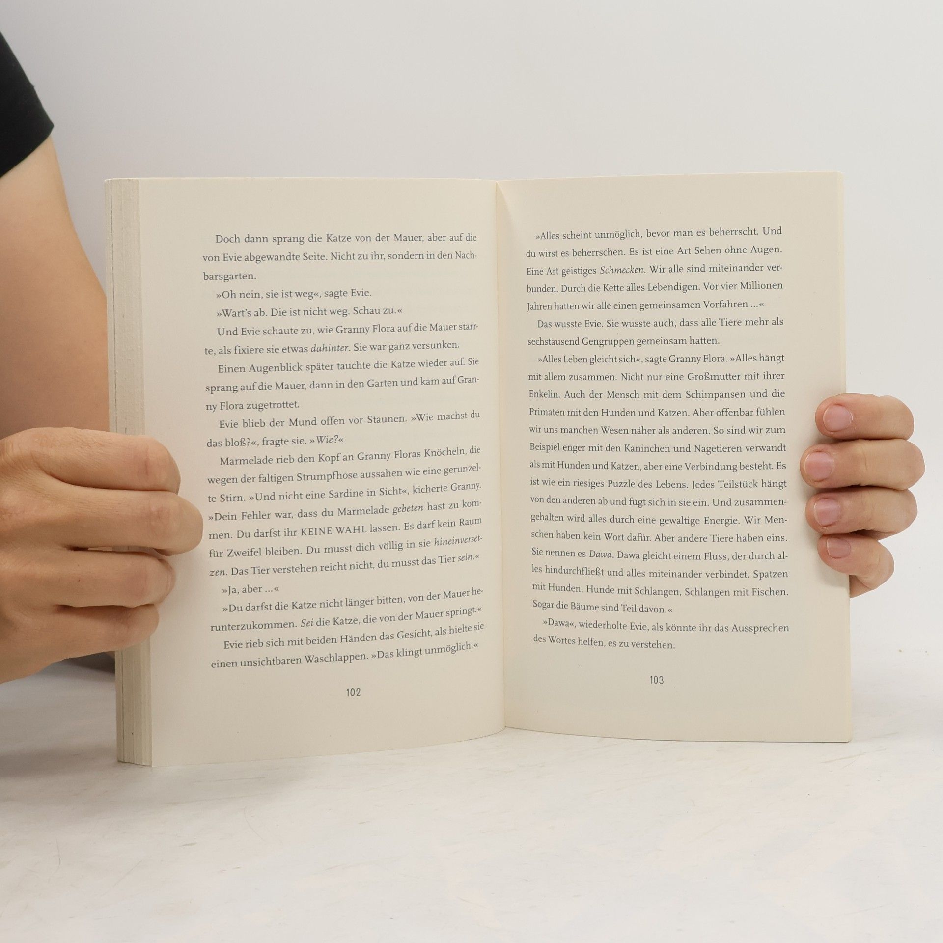 Matt Haig Evie und die Macht der Tiere
