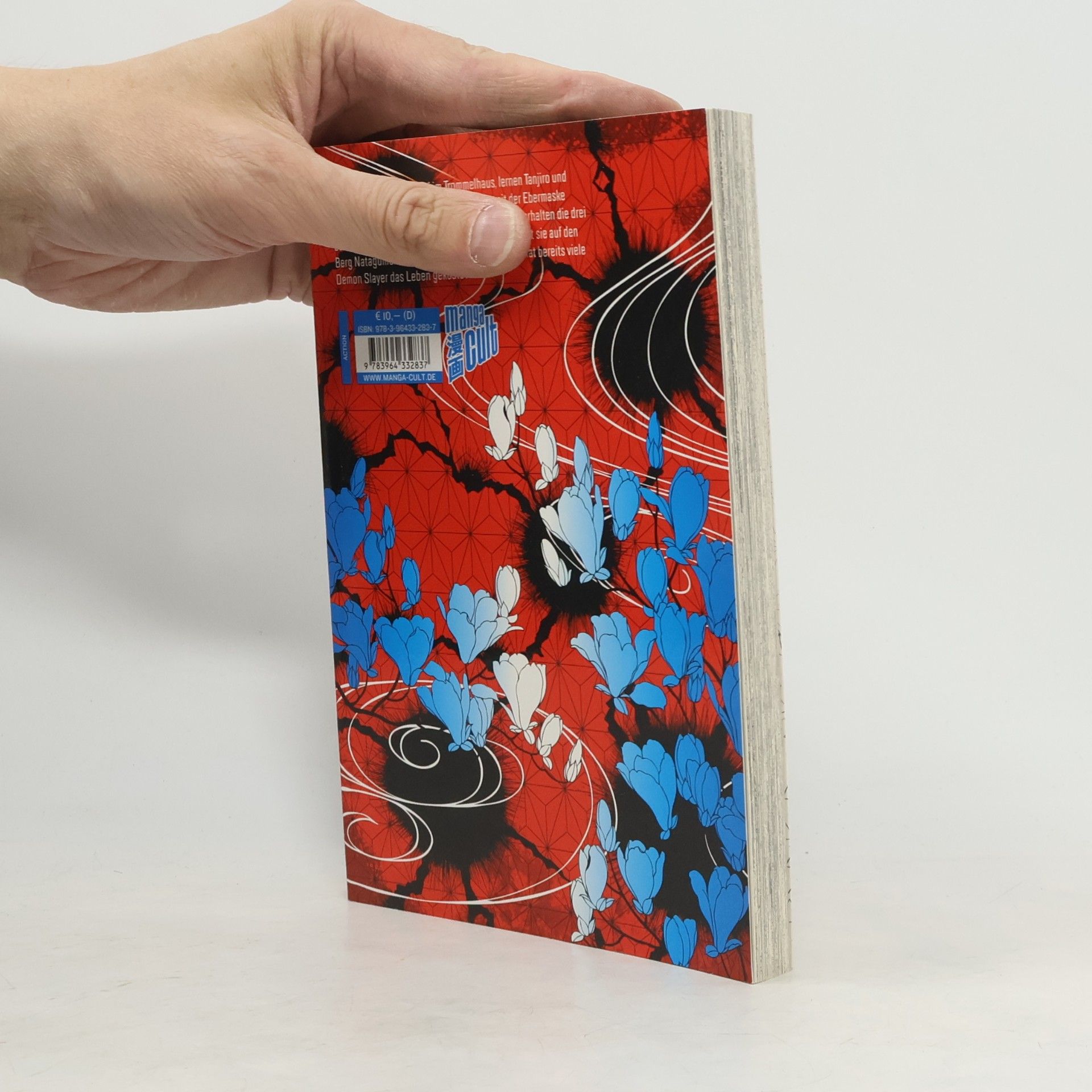 Koyoharu Gotōge Demon Slayer 4