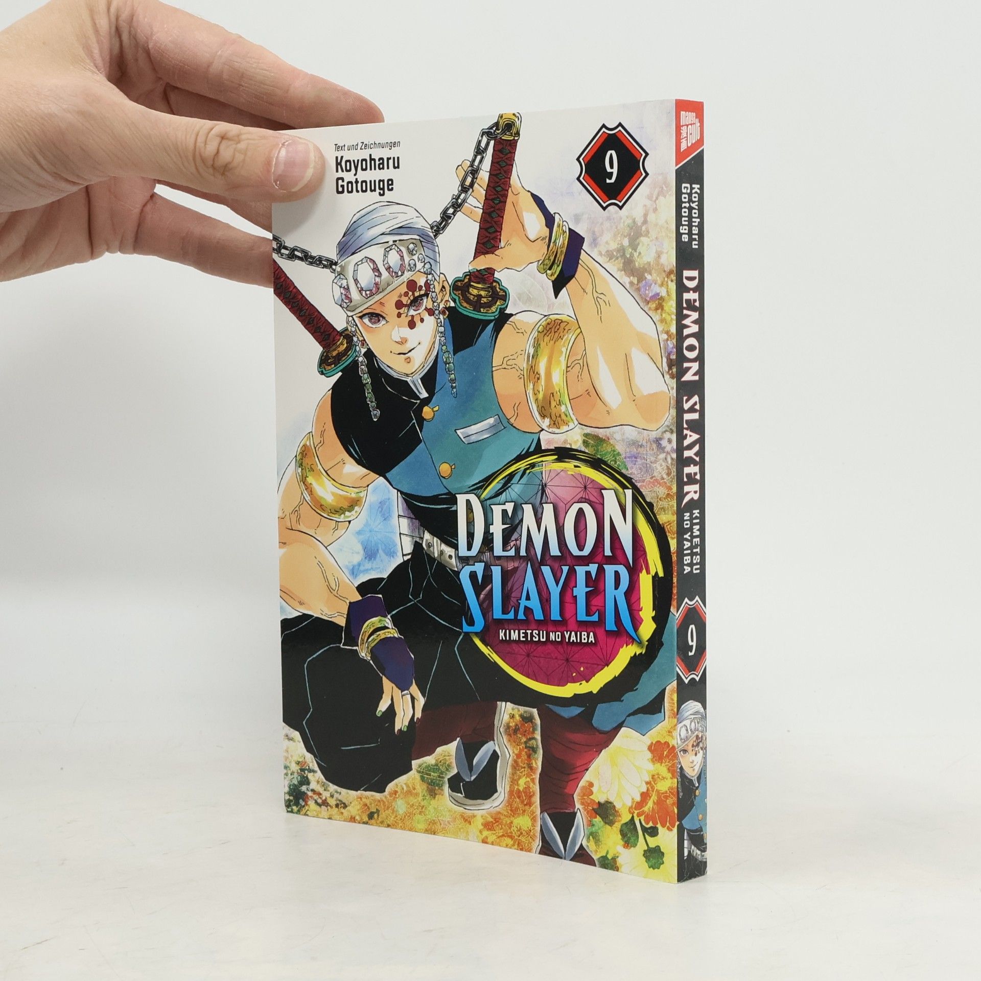 Demon Slayer 9