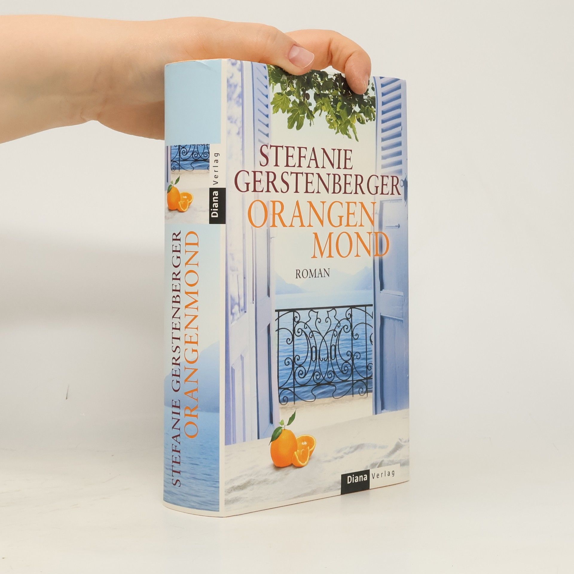 Stefanie Gerstenberger Orangenmond