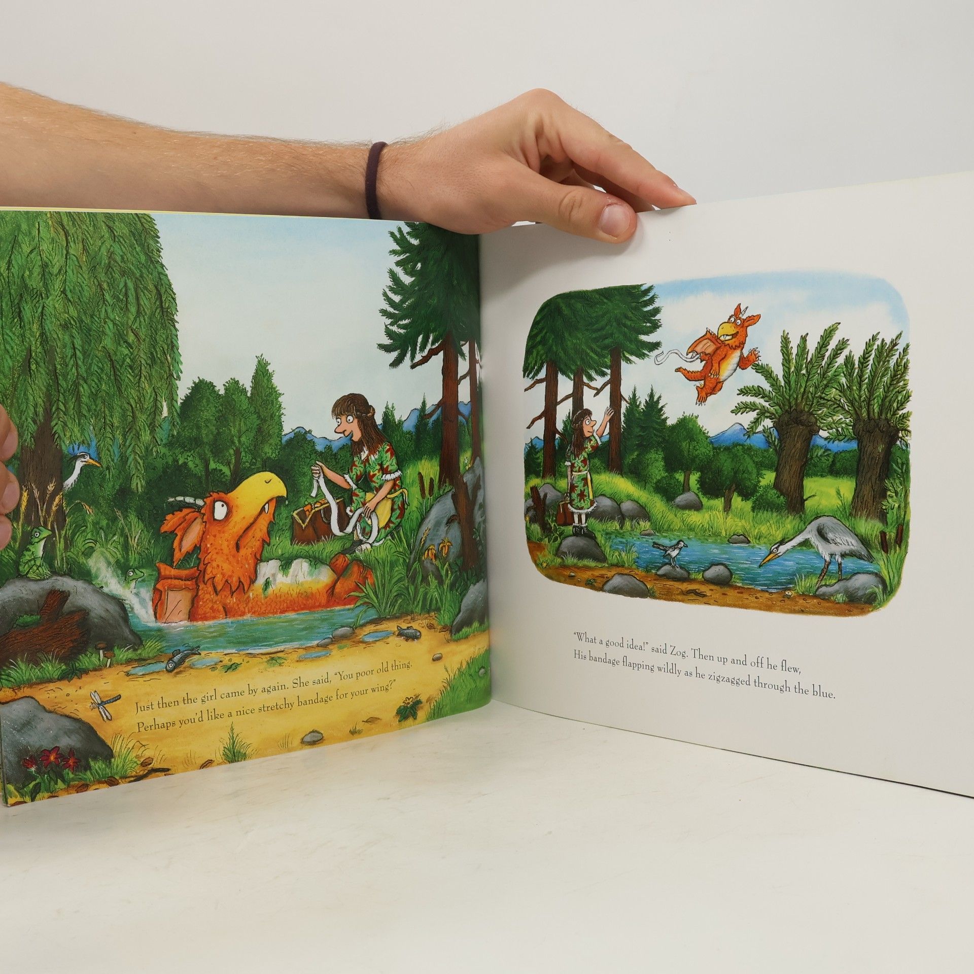 Axel Scheffler Zog