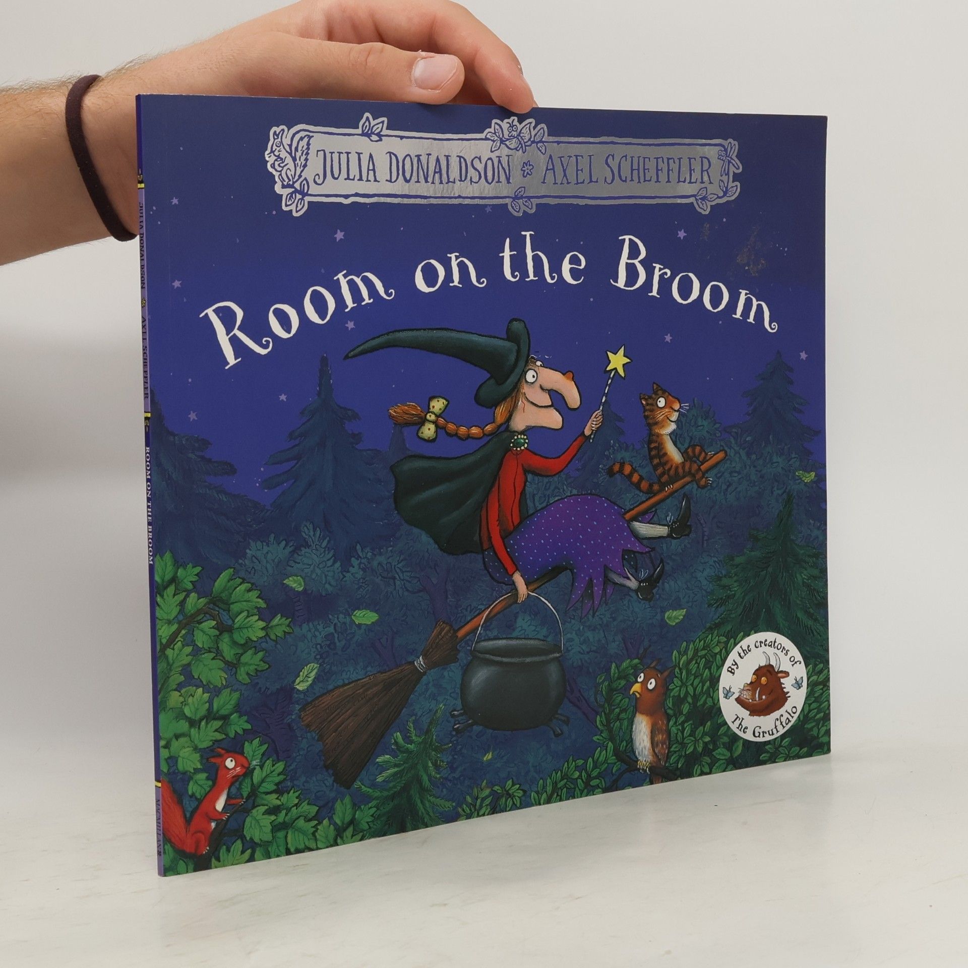 Julia Donaldson Room on the Broom