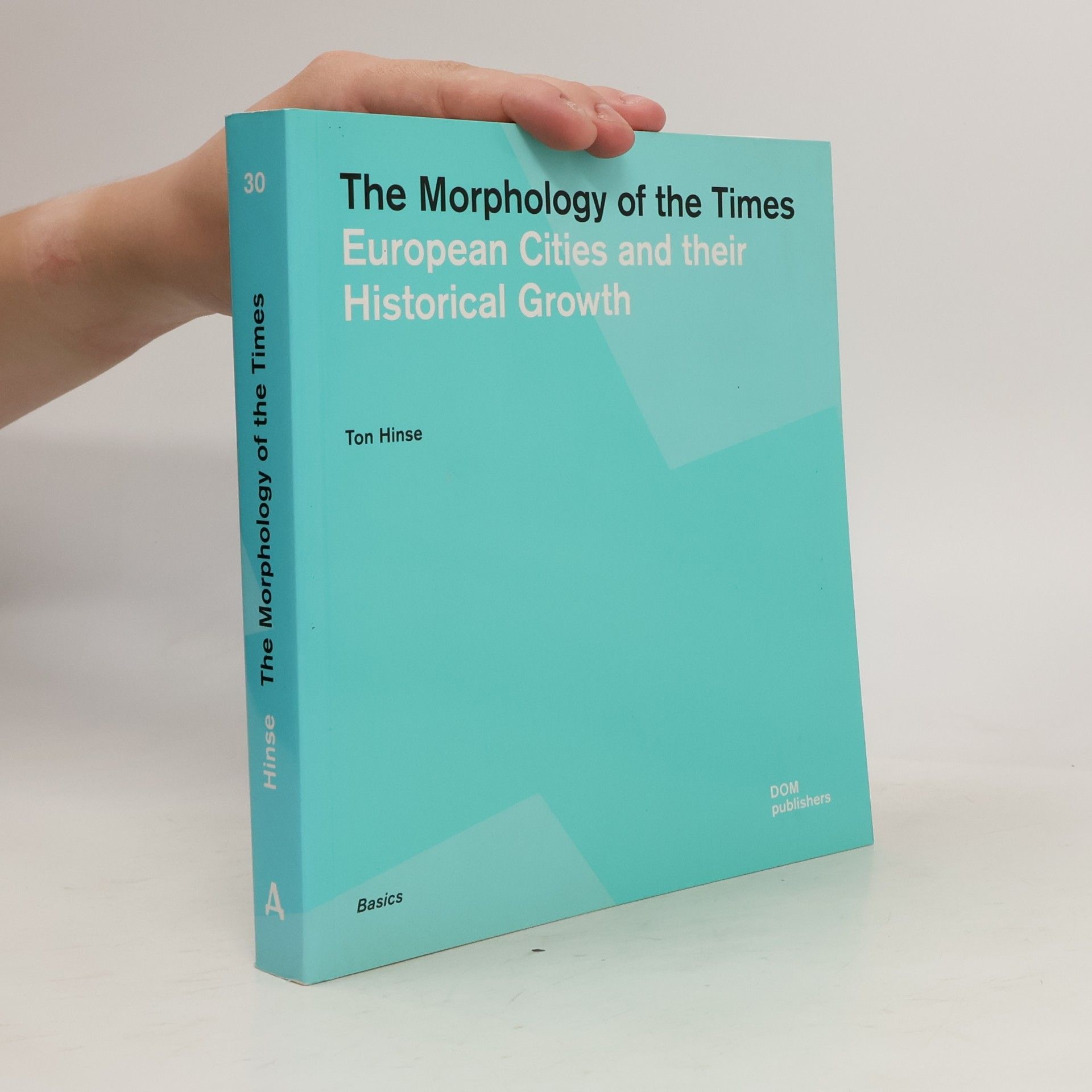 Ton Hinse The Morphology of the Times