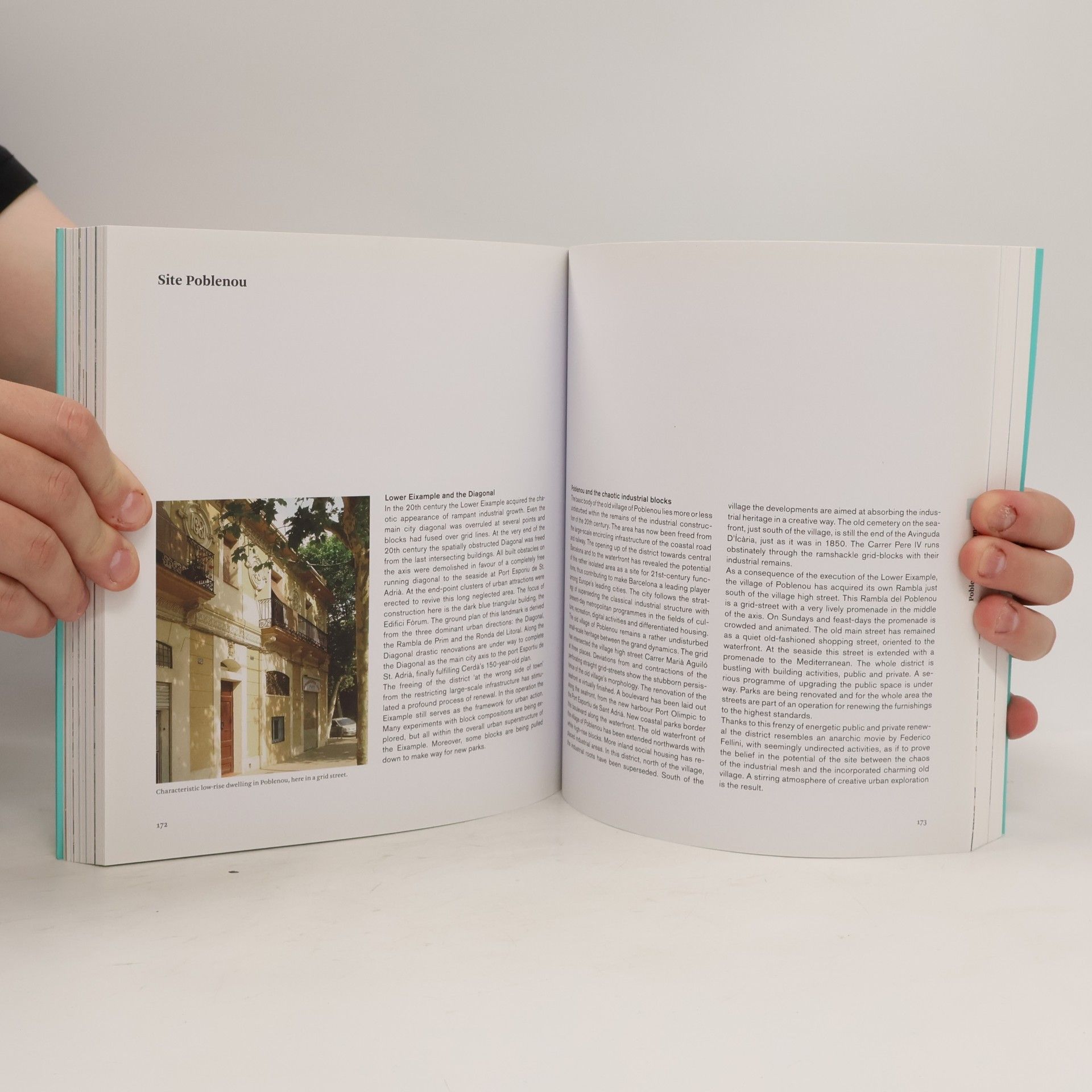 Ton Hinse The Morphology of the Times