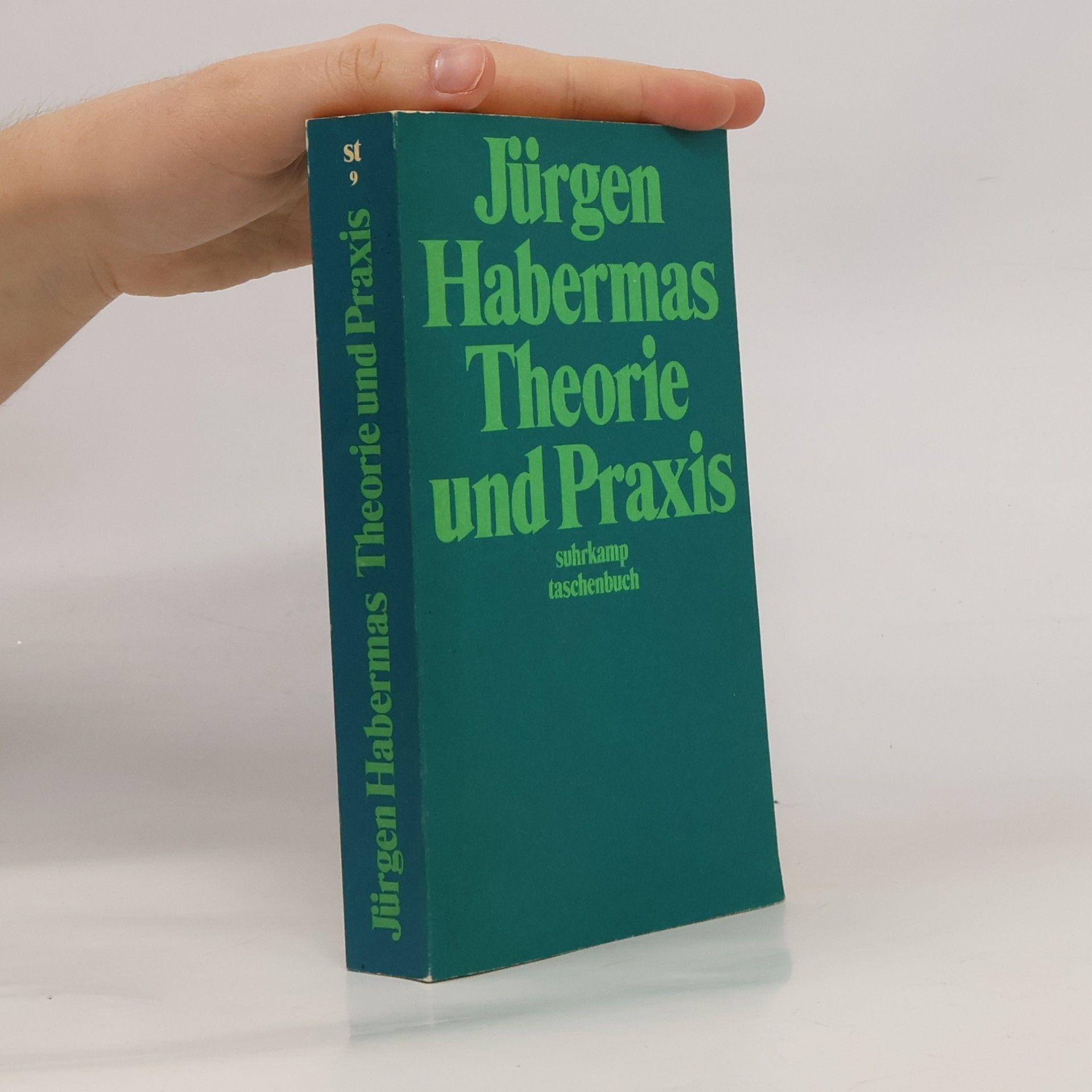 Jürgen Habermas Theorie und Praxis