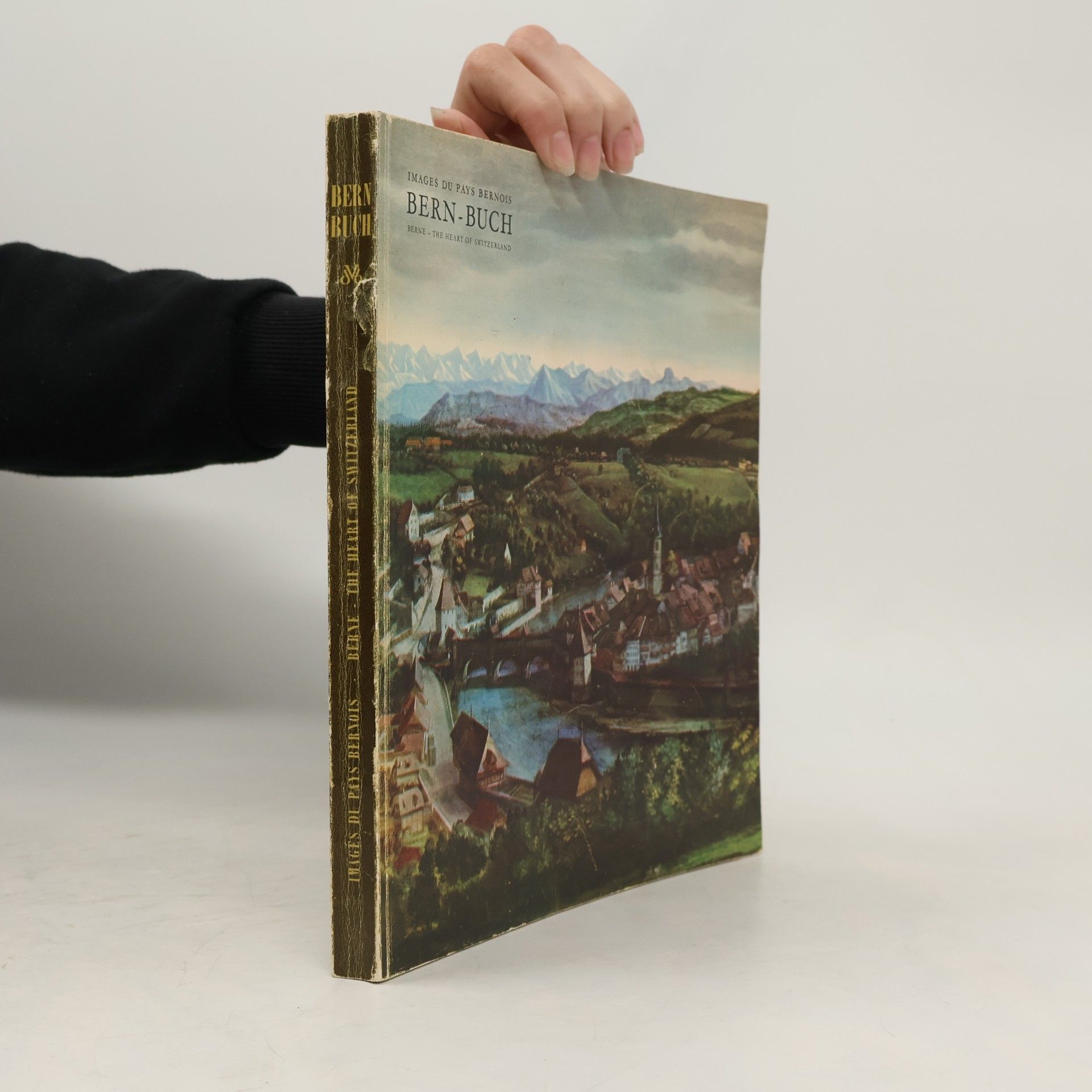 kolektiv Bern-Buch