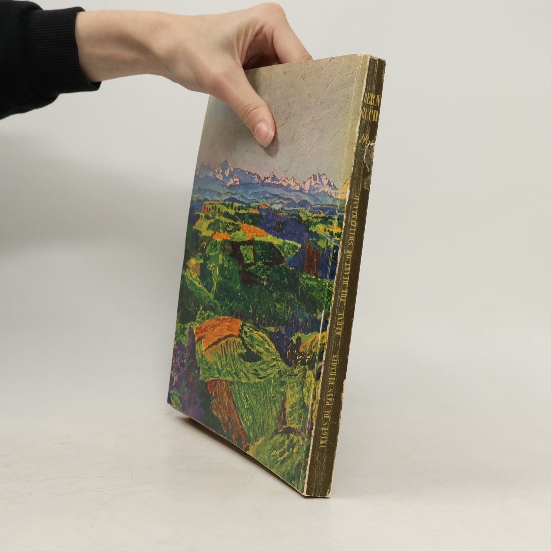 kolektiv Bern-Buch