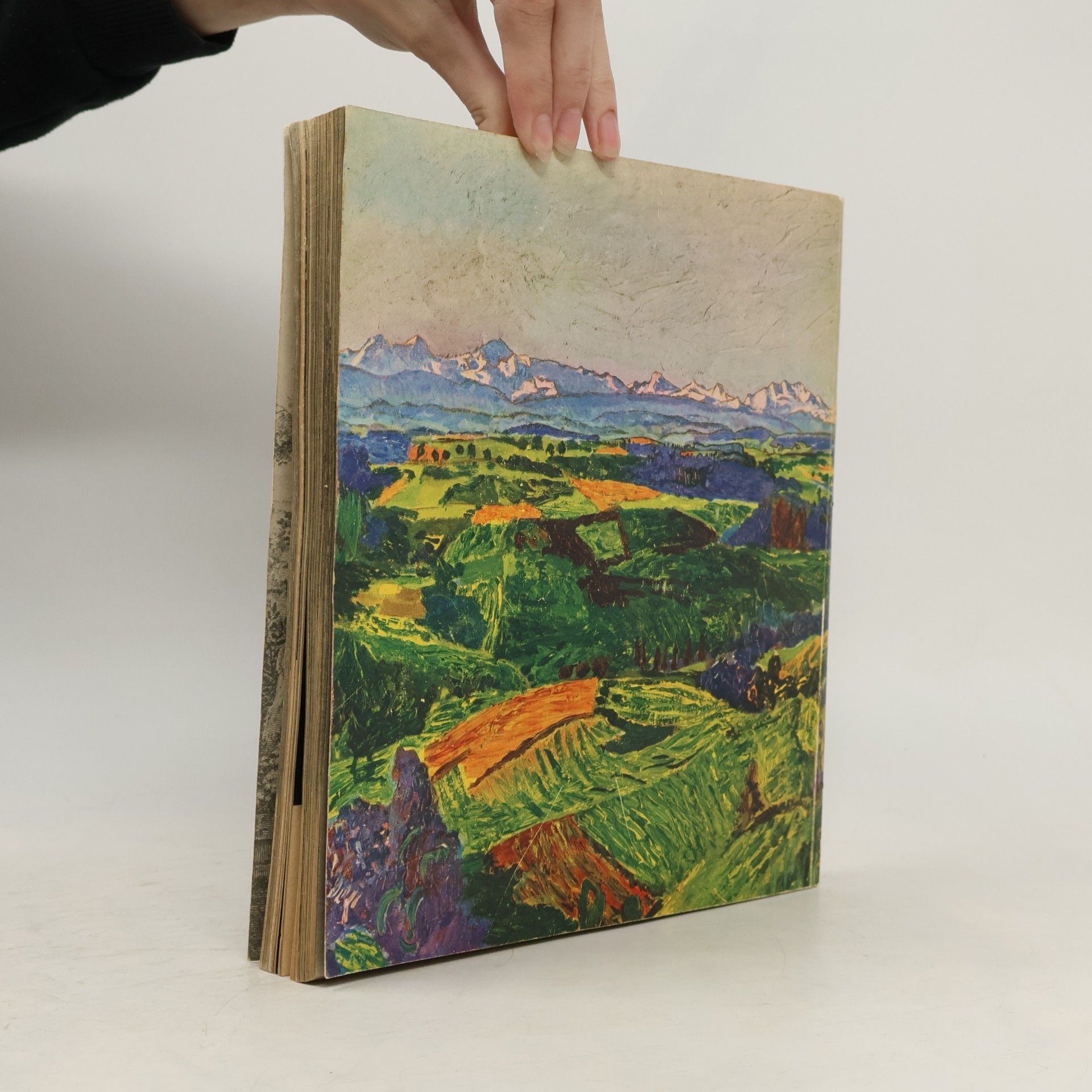 kolektiv Bern-Buch