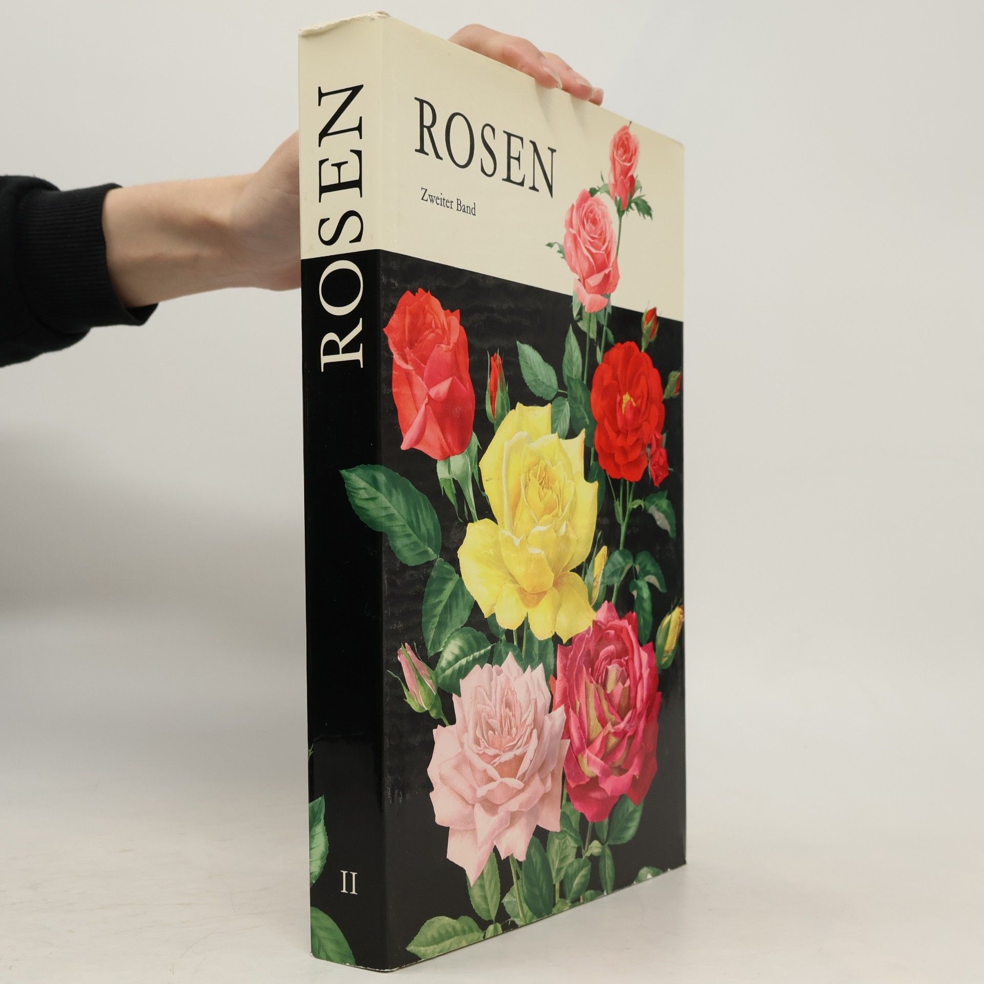 Rosen II