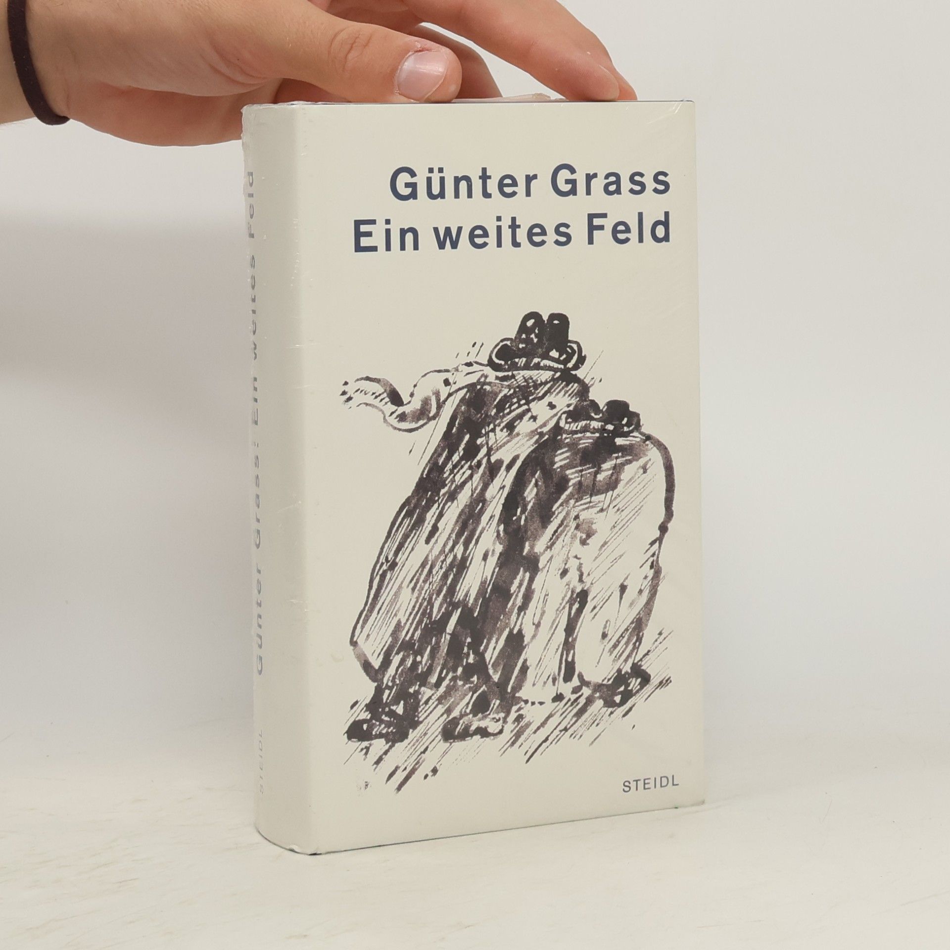 Günter Grass Ein weites Feld