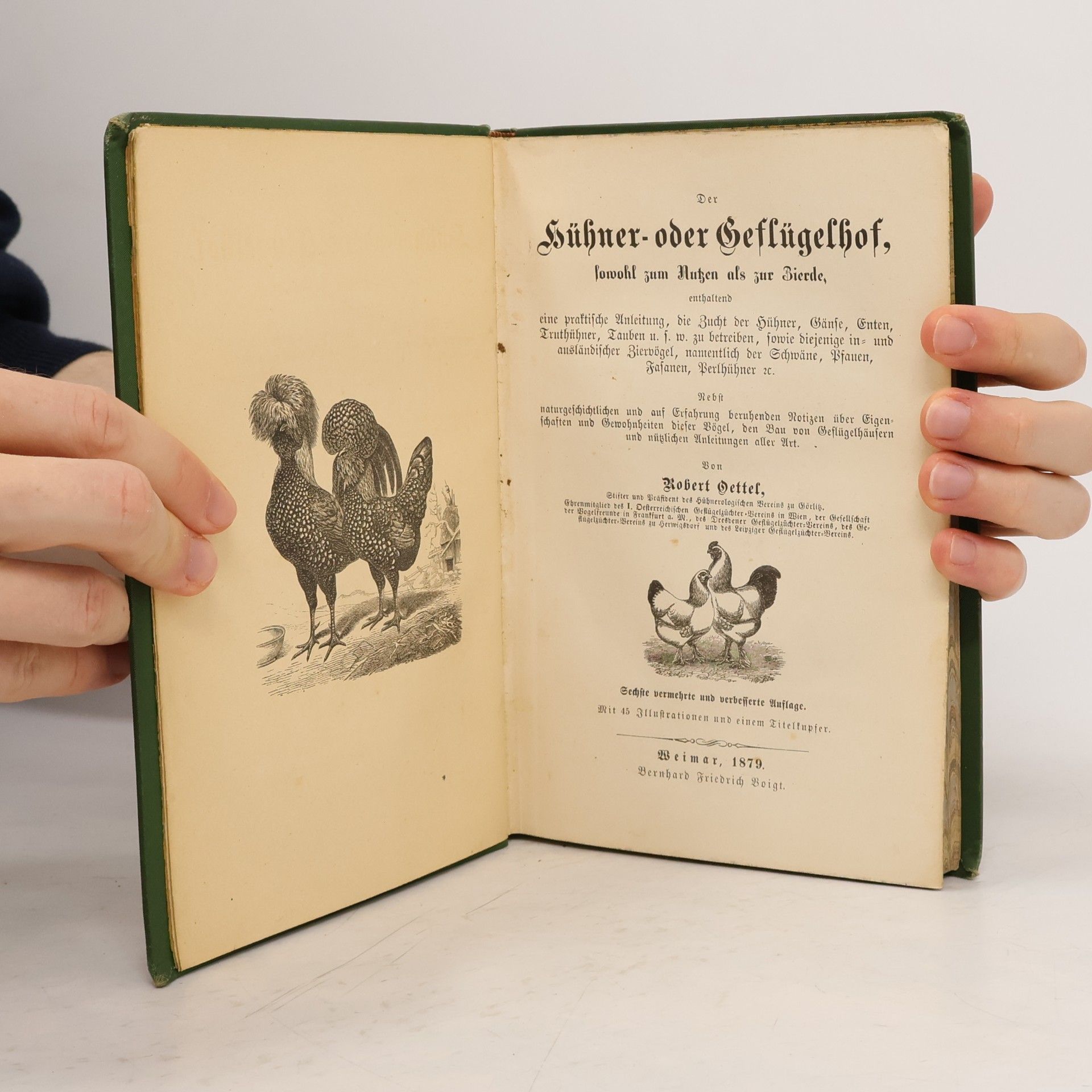 Rober Dettel Der Hühner oder Geflügelhof