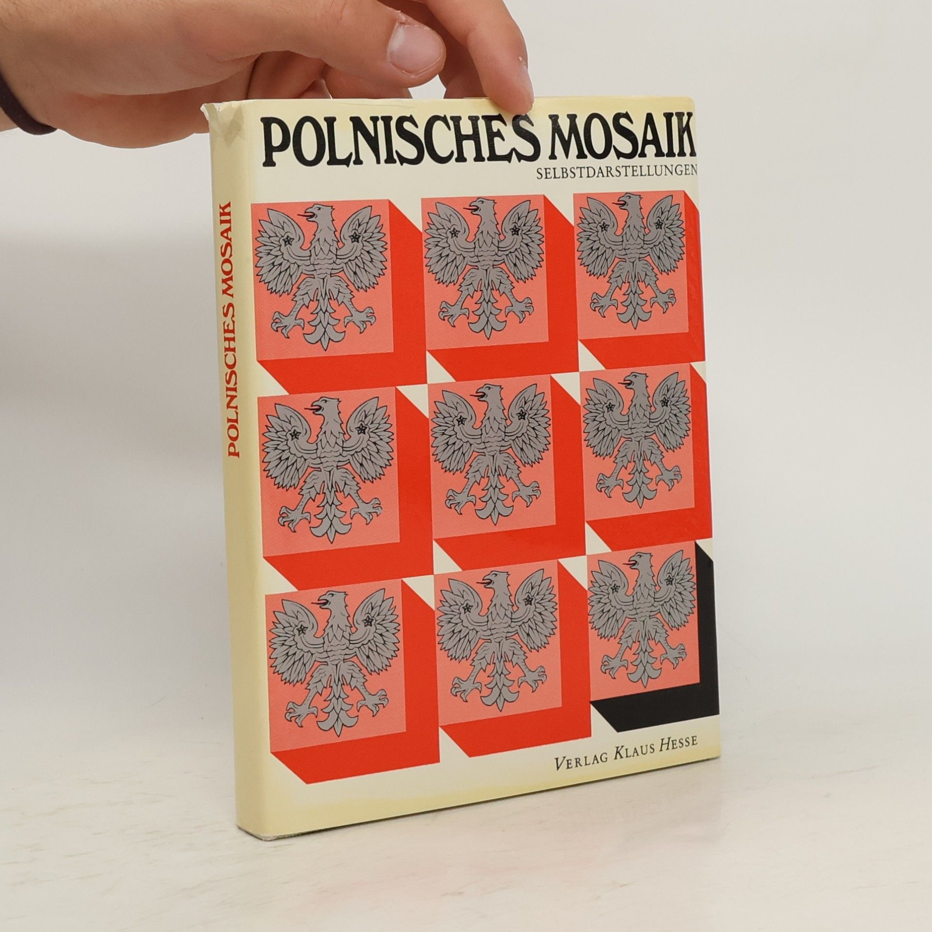 Autorenkollektiv Polnisches Mosaik