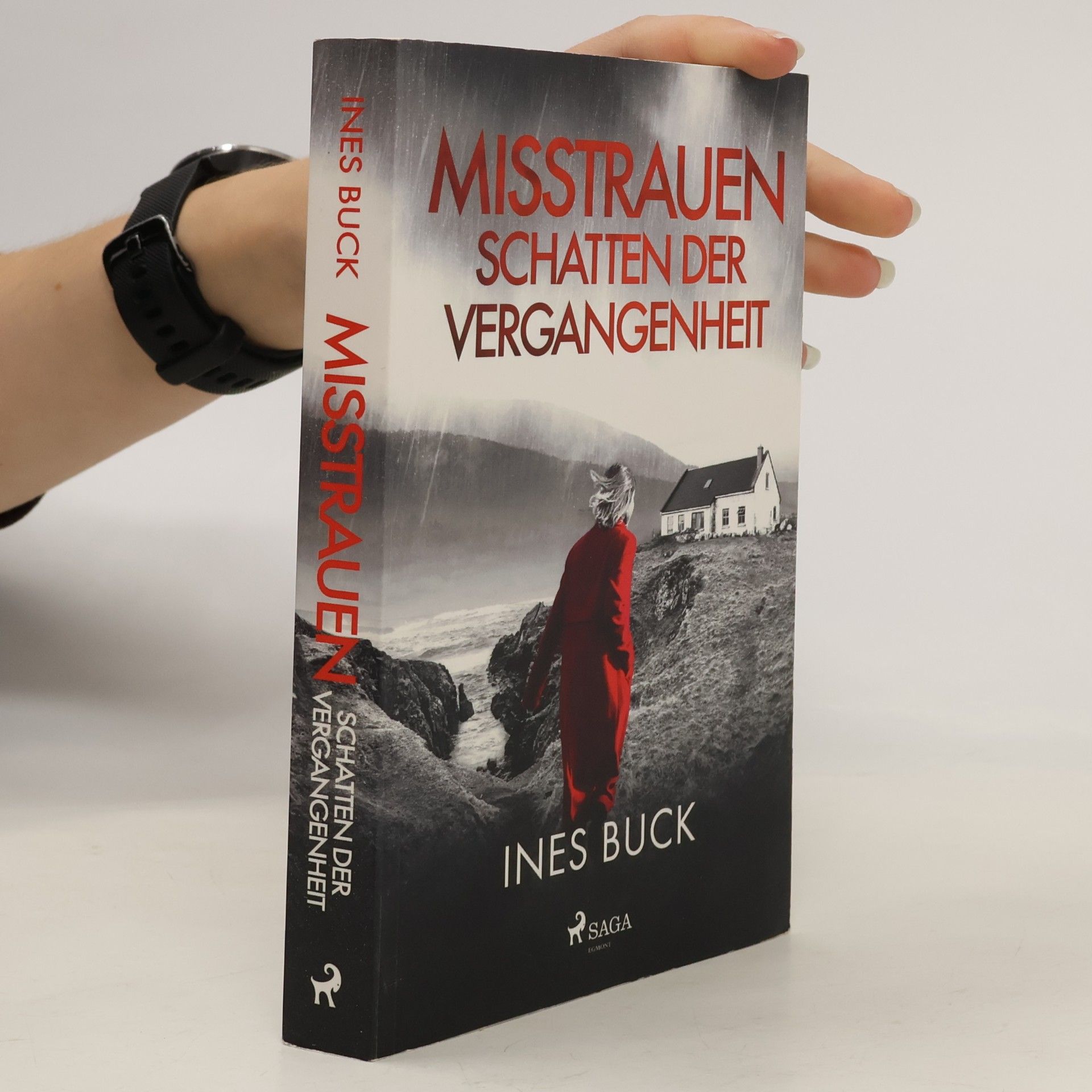 Ines Buck Misstrauen - Schatten der Vergangenheit