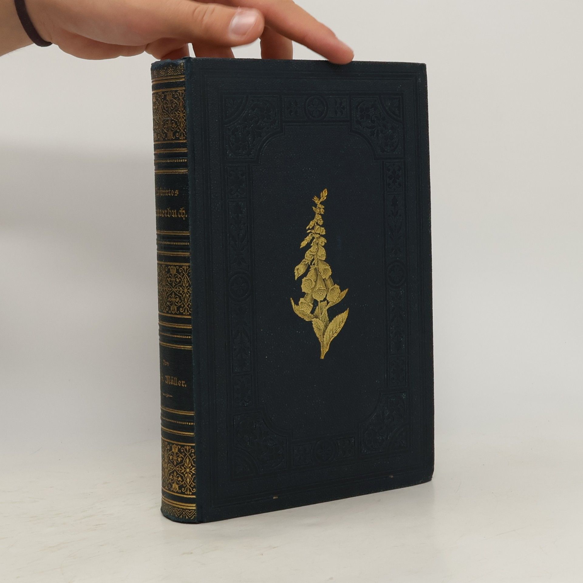 Das große illustrirte Kräuterbuch