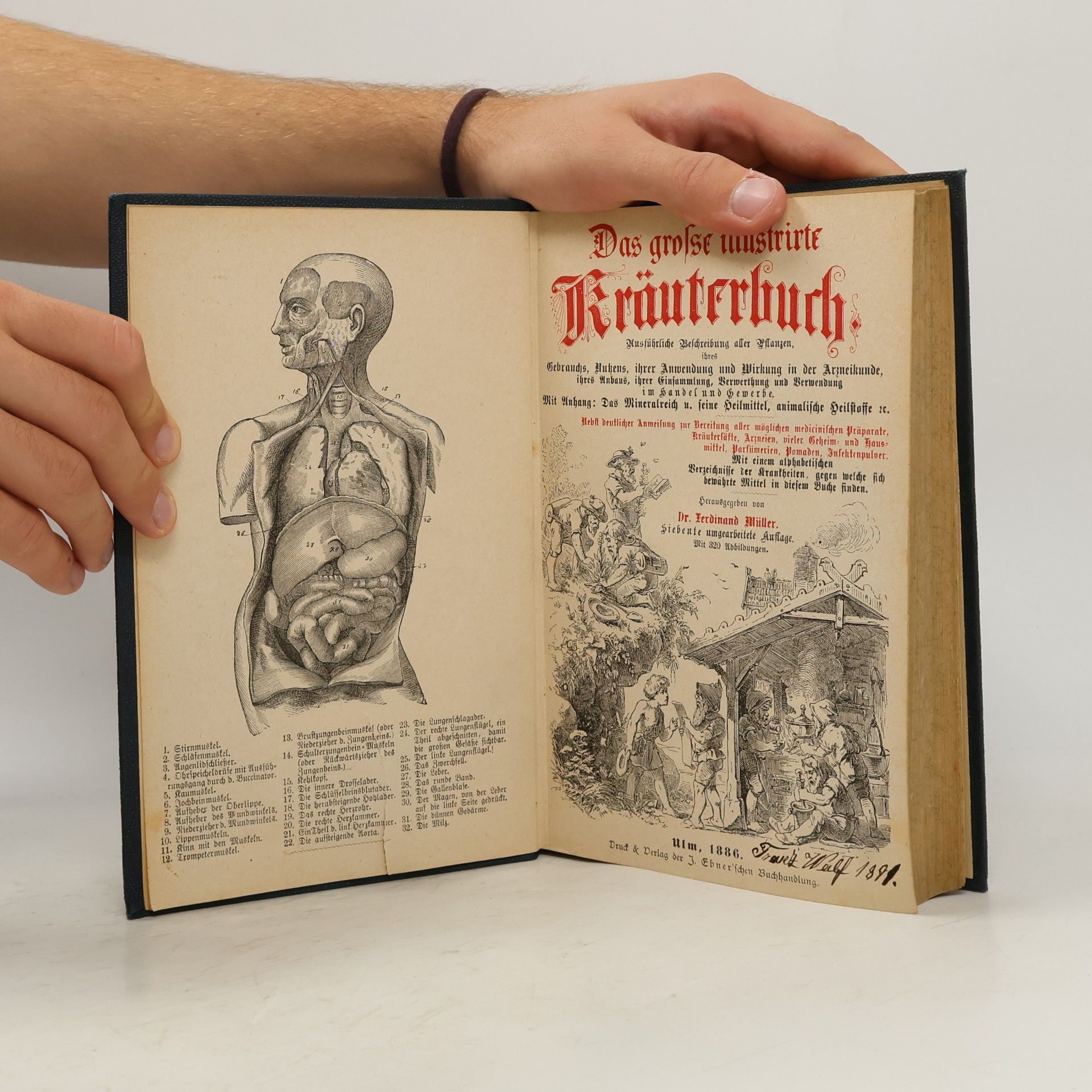 Dr. Ferdinand Müller Das große illustrirte Kräuterbuch