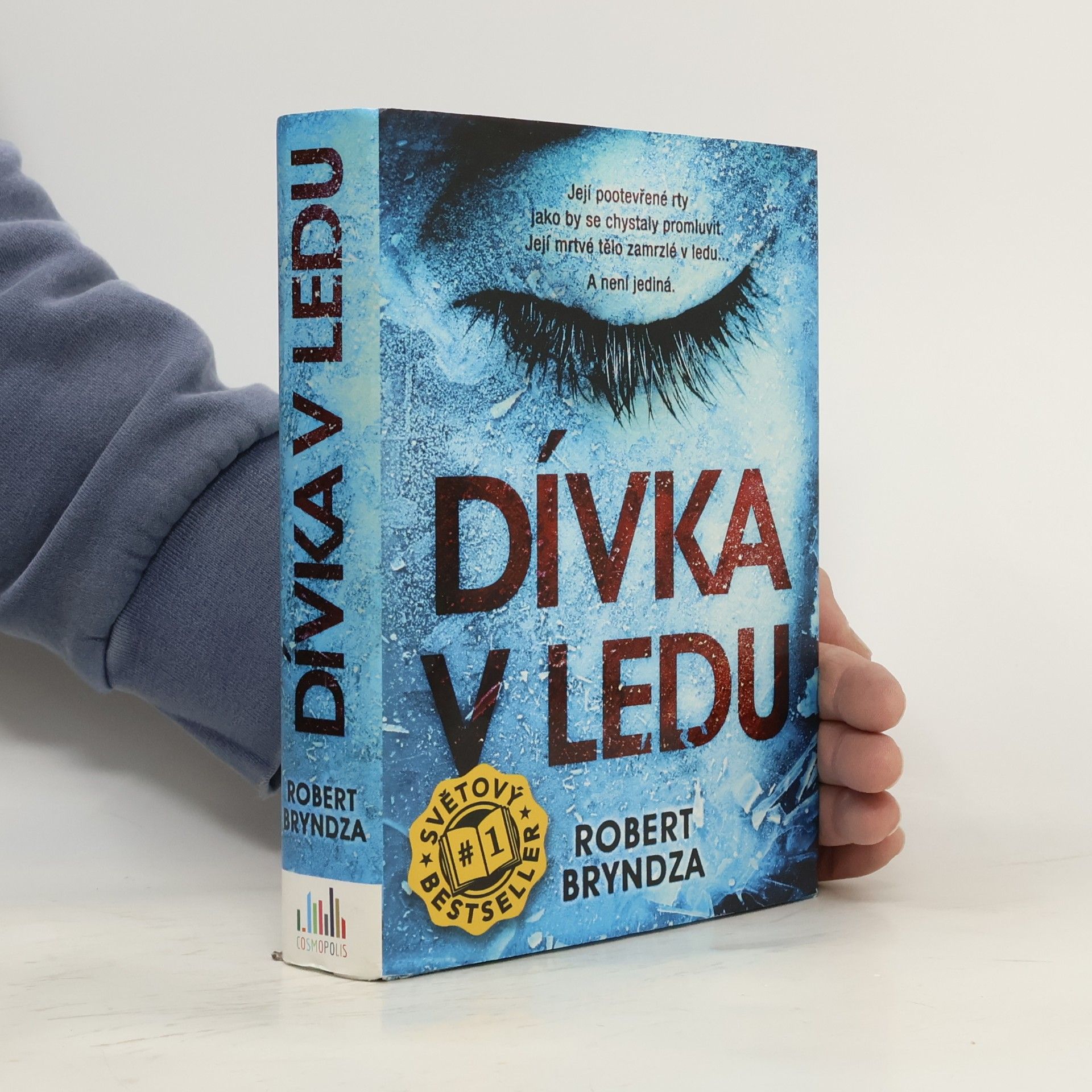 Robert Bryndza Dívka v ledu