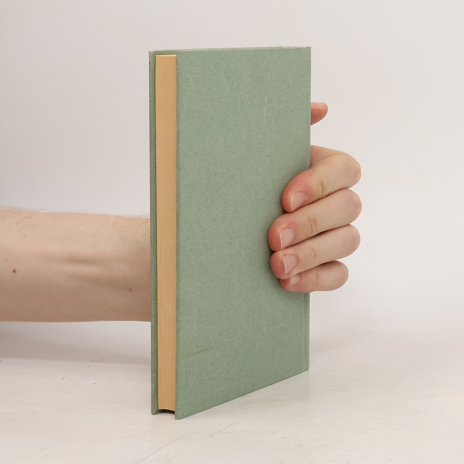 kolektiv Neuestes Praktisches Kochbuch