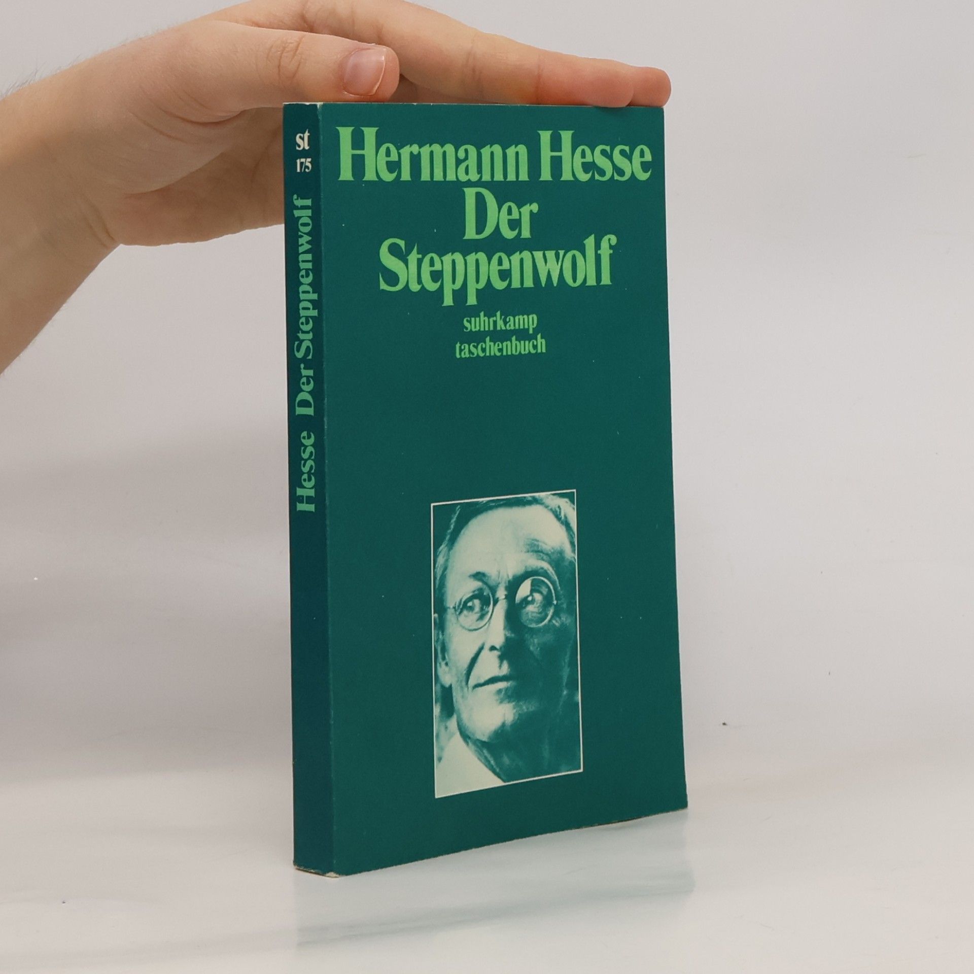 Hermann Hesse Der Steppenwolf