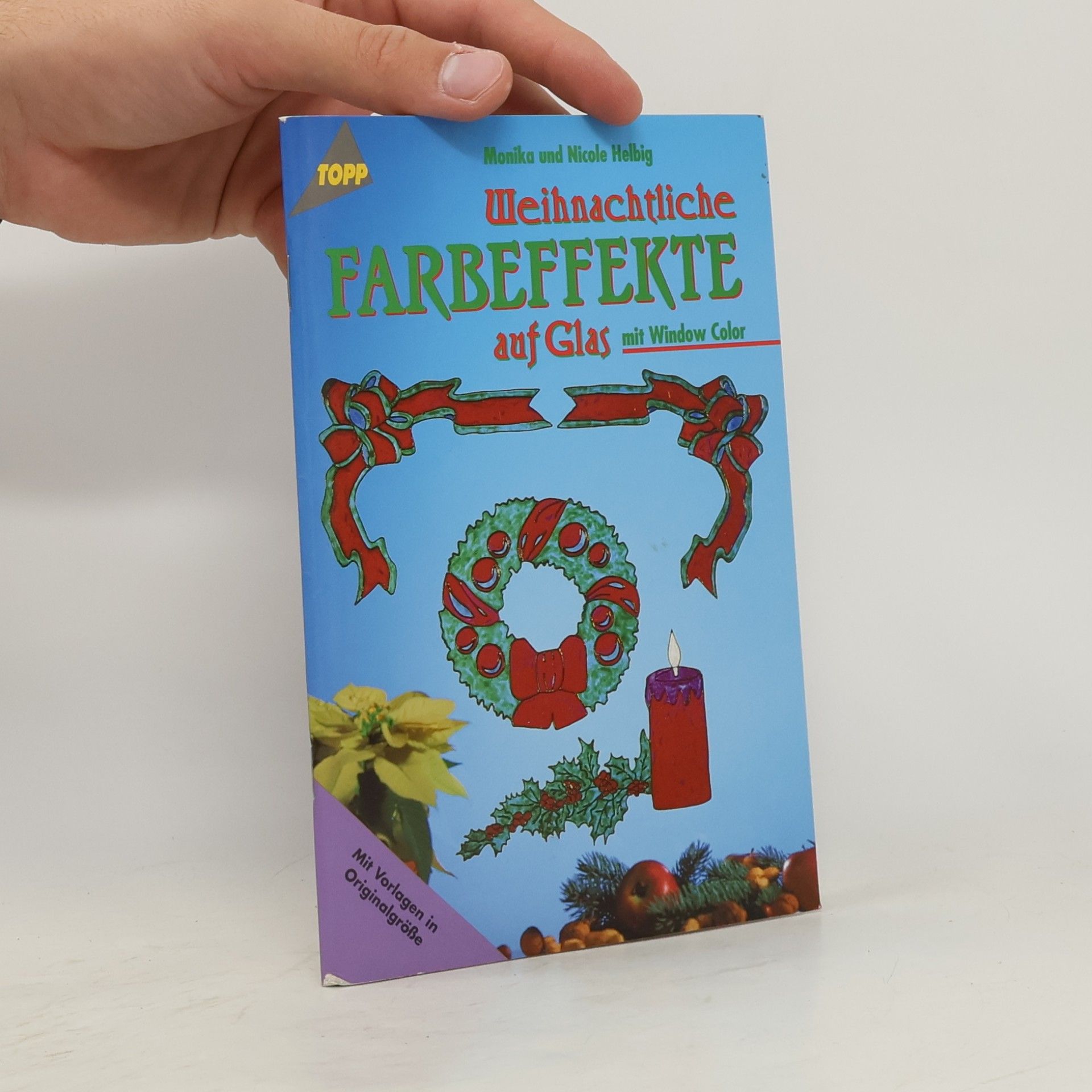 Kolektív autorov Weihnachtliche Farbeffekte auf Glas mit Window Color