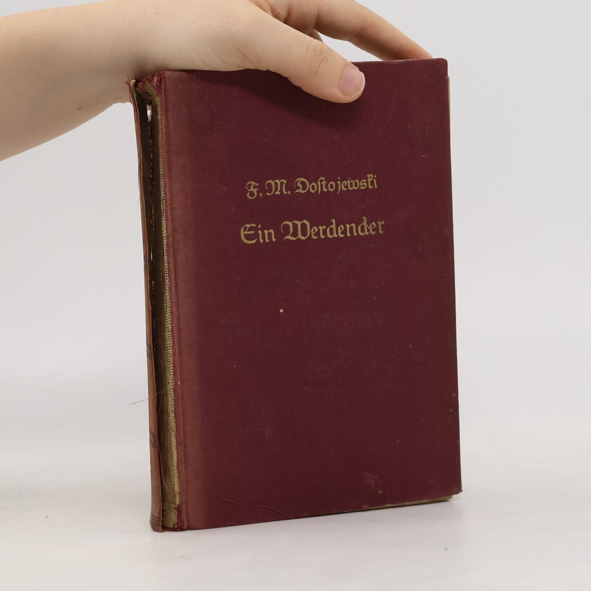 Fjodor Michailowitsch Dostojewski Ein Werdender