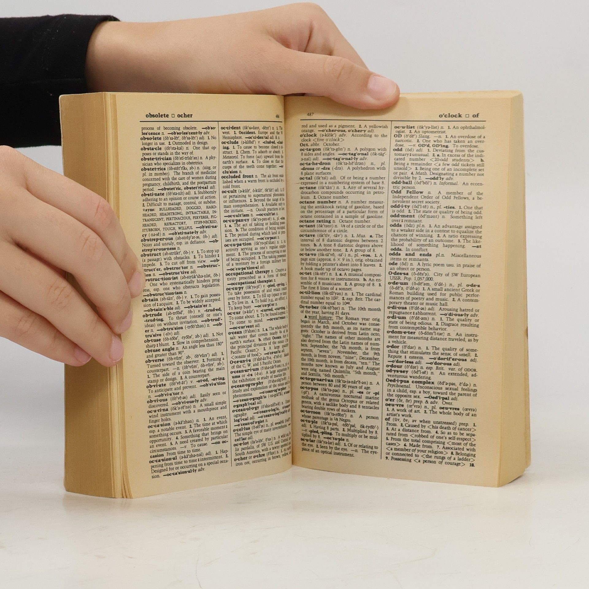 Brenda Jackson Webster's II New Riverside Dictionary