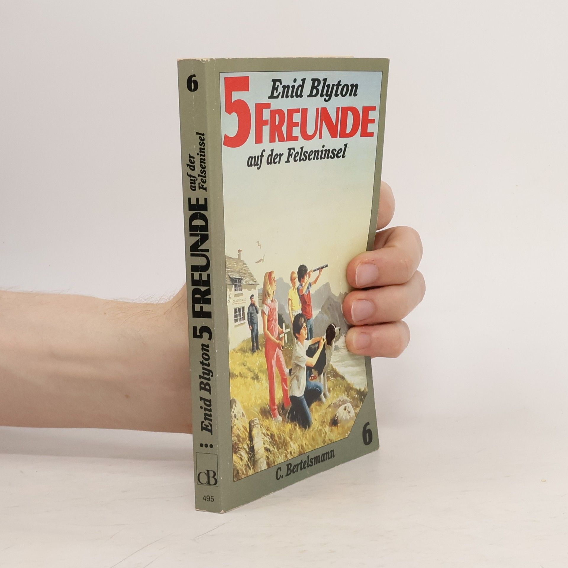 Enid Blyton 5 Freunde auf der Felseninsel