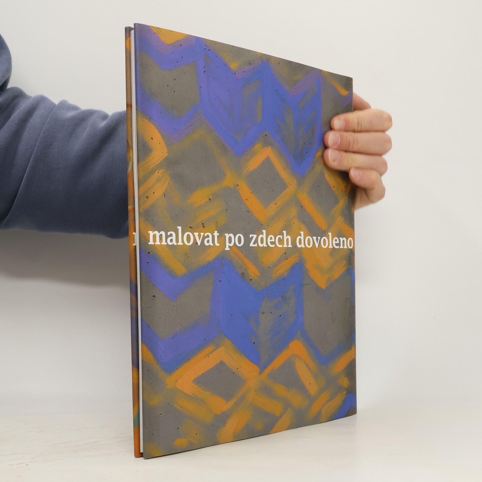 Martina Novotná Malovat po zdech dovoleno : nástěnné malby