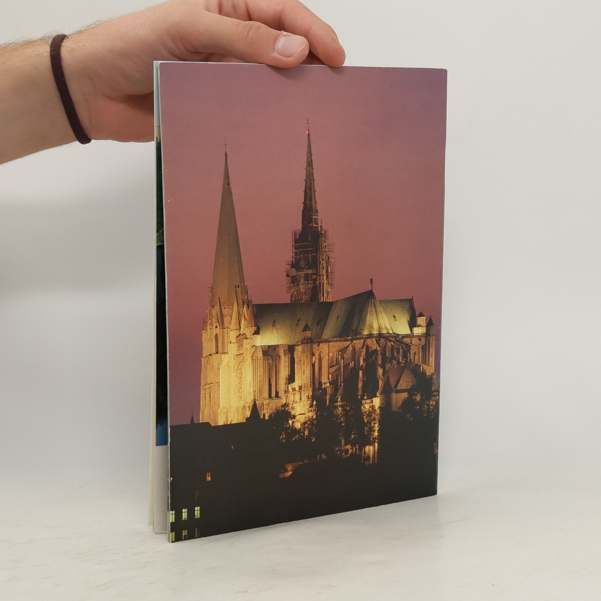 Malcolm Miller Chartres. The Cathedral And The Old Town