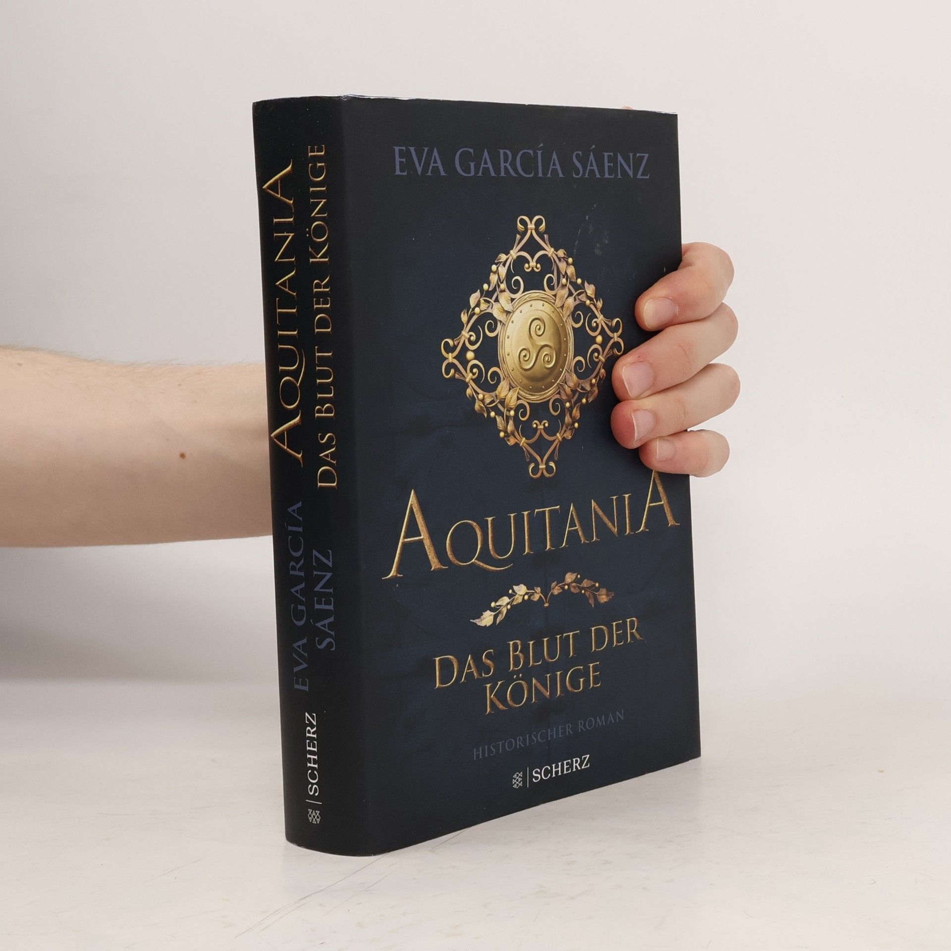 Eva Garcíaová Sáenzová Aquitania - das Blut der Könige