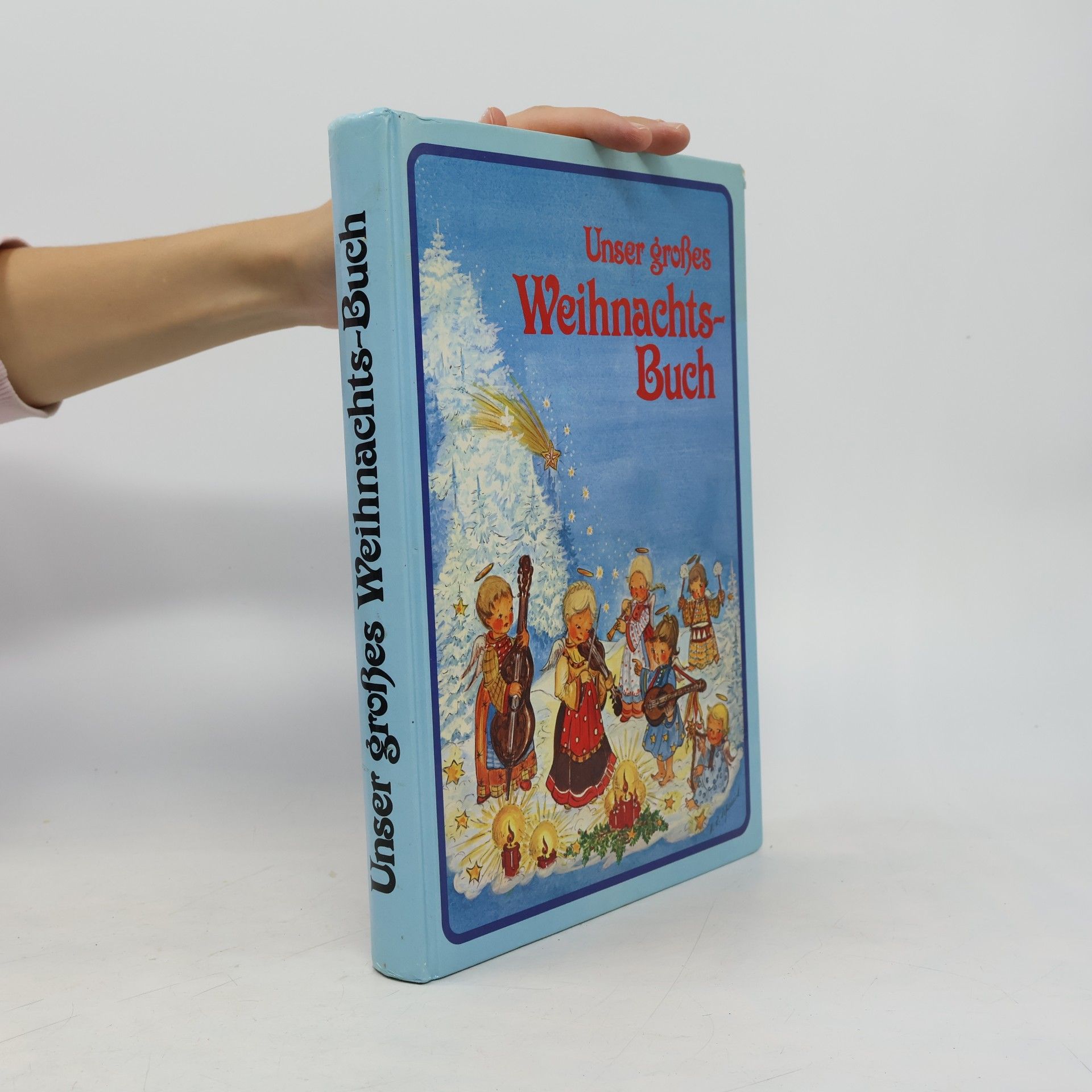 Kolektív autorov Unser großes Weihnachts-Buch