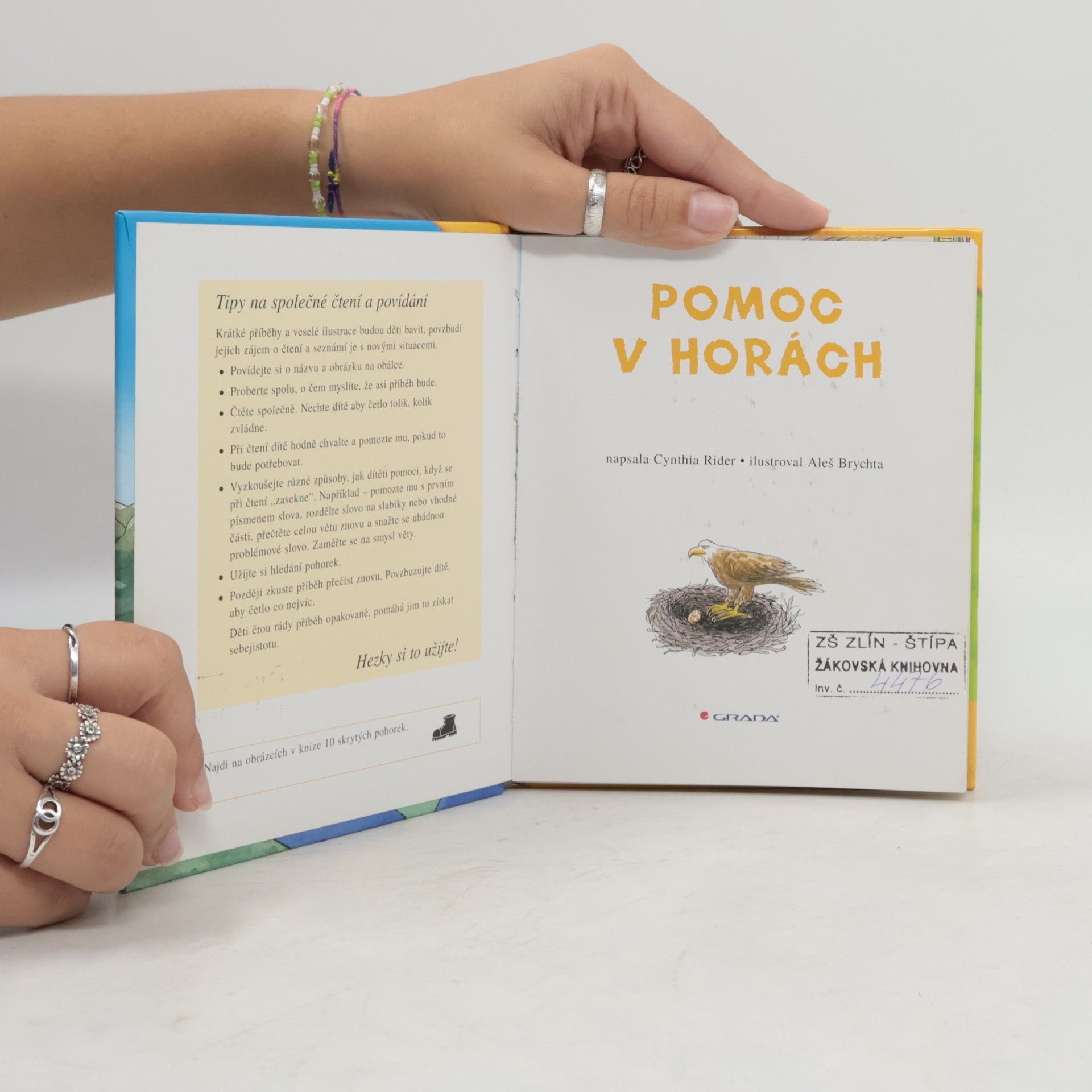 Cynthia Rider Pomoc v horách