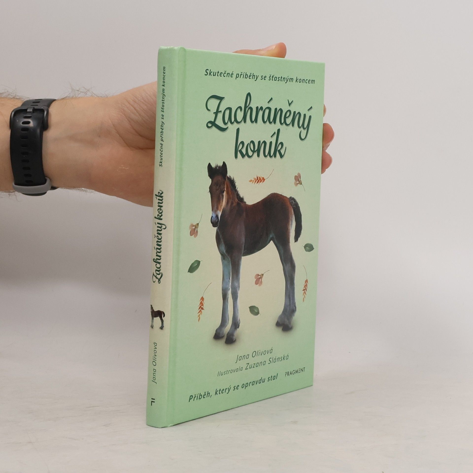 Jana Olivová Zachráněný koník