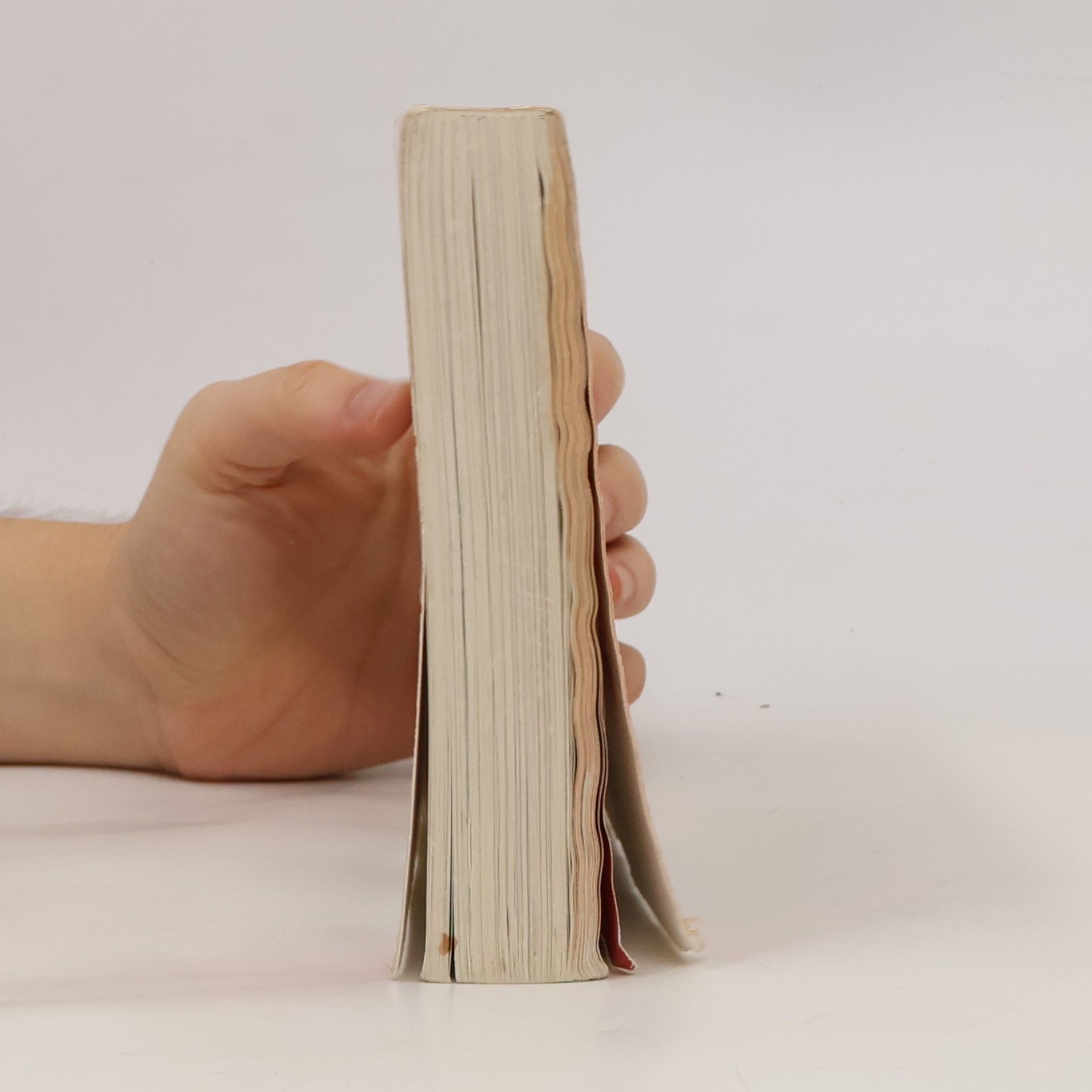 Auteurscollectief Chinesisch Deutsch. Visuelles Wörterbuch