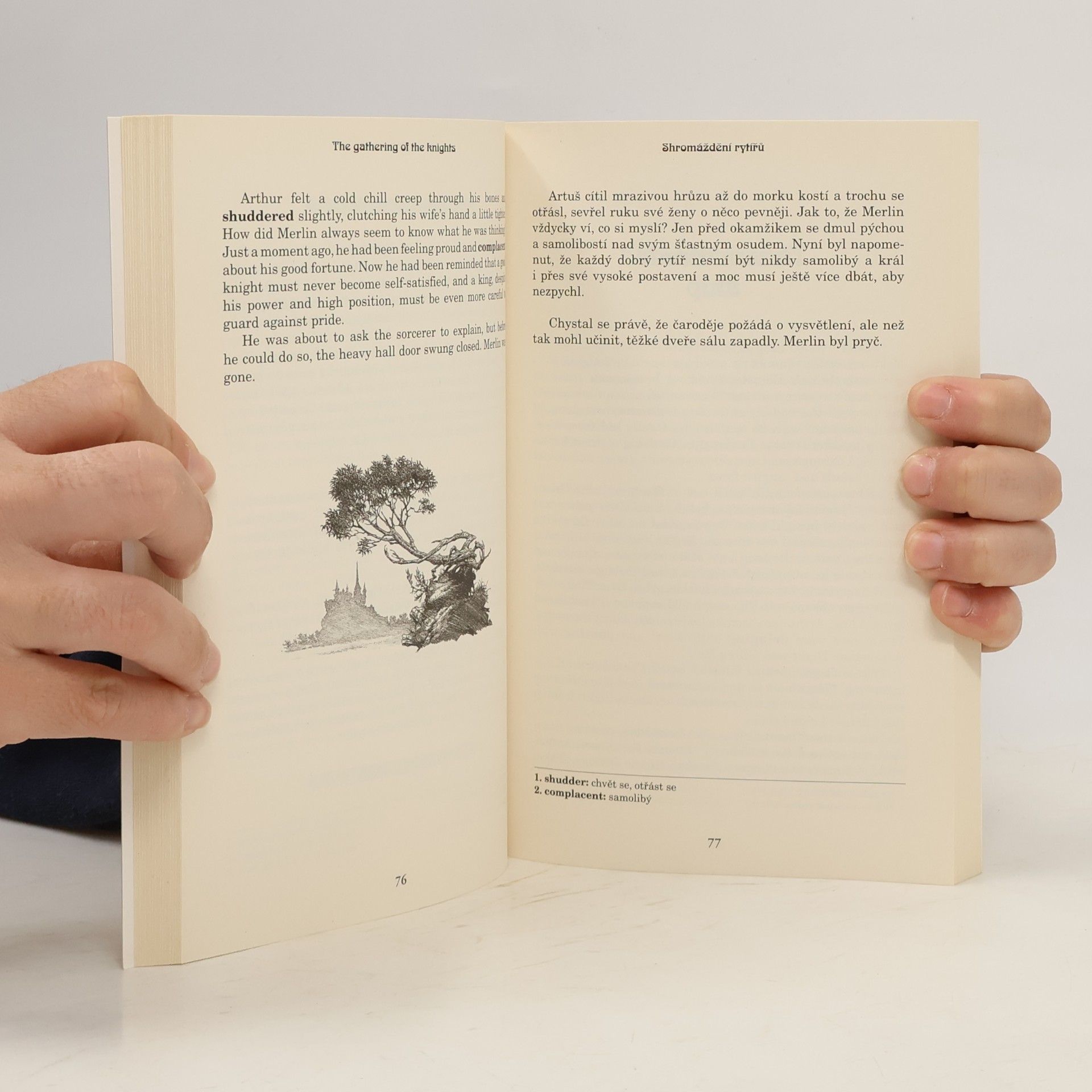 Felicity Brooks Král Artuš = Tales of King Arthur