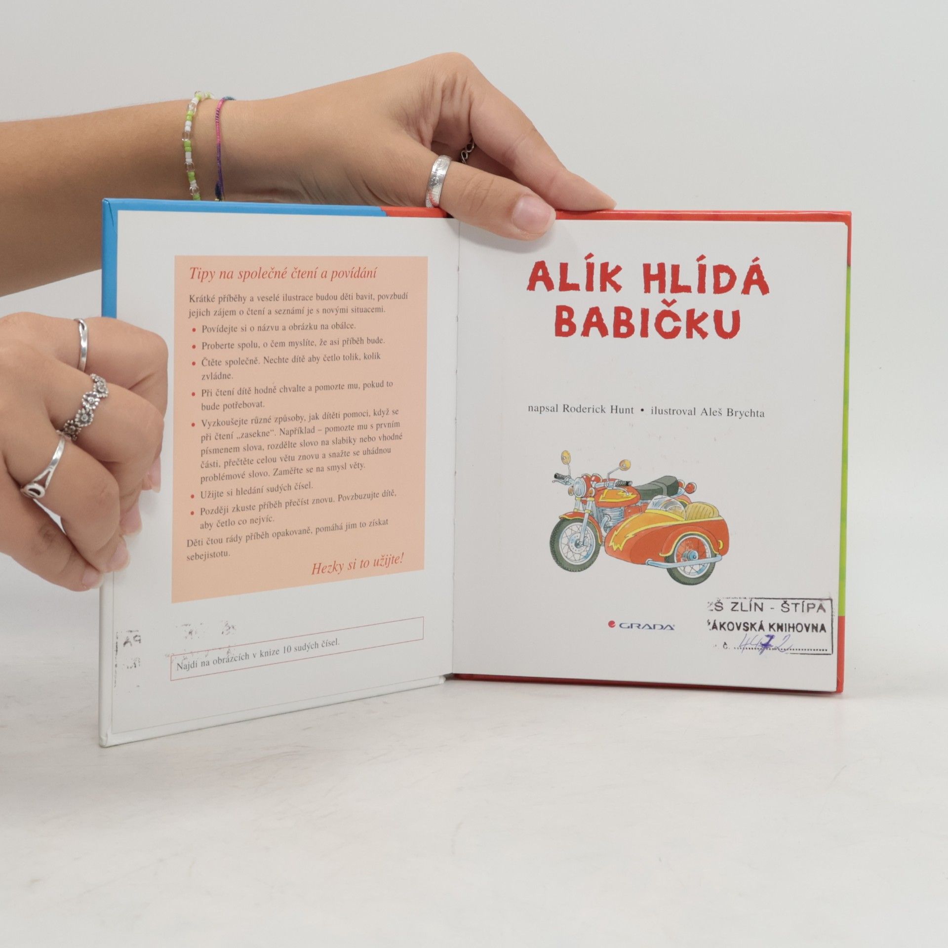 Roderick Hunt Alík hlídá babičku