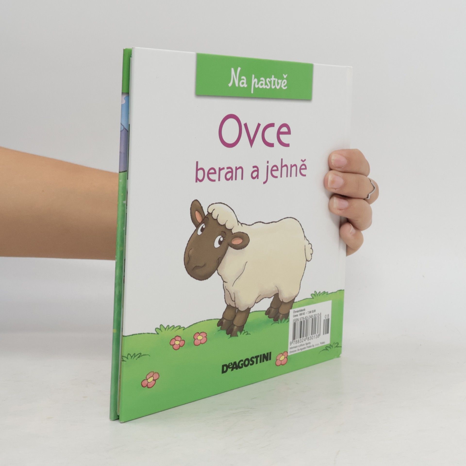 kolektiv Na pastvě 53. Ovce