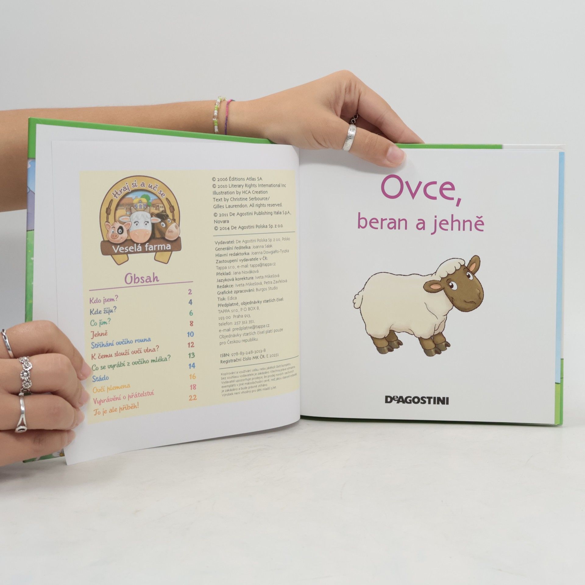 kolektiv Na pastvě 53. Ovce
