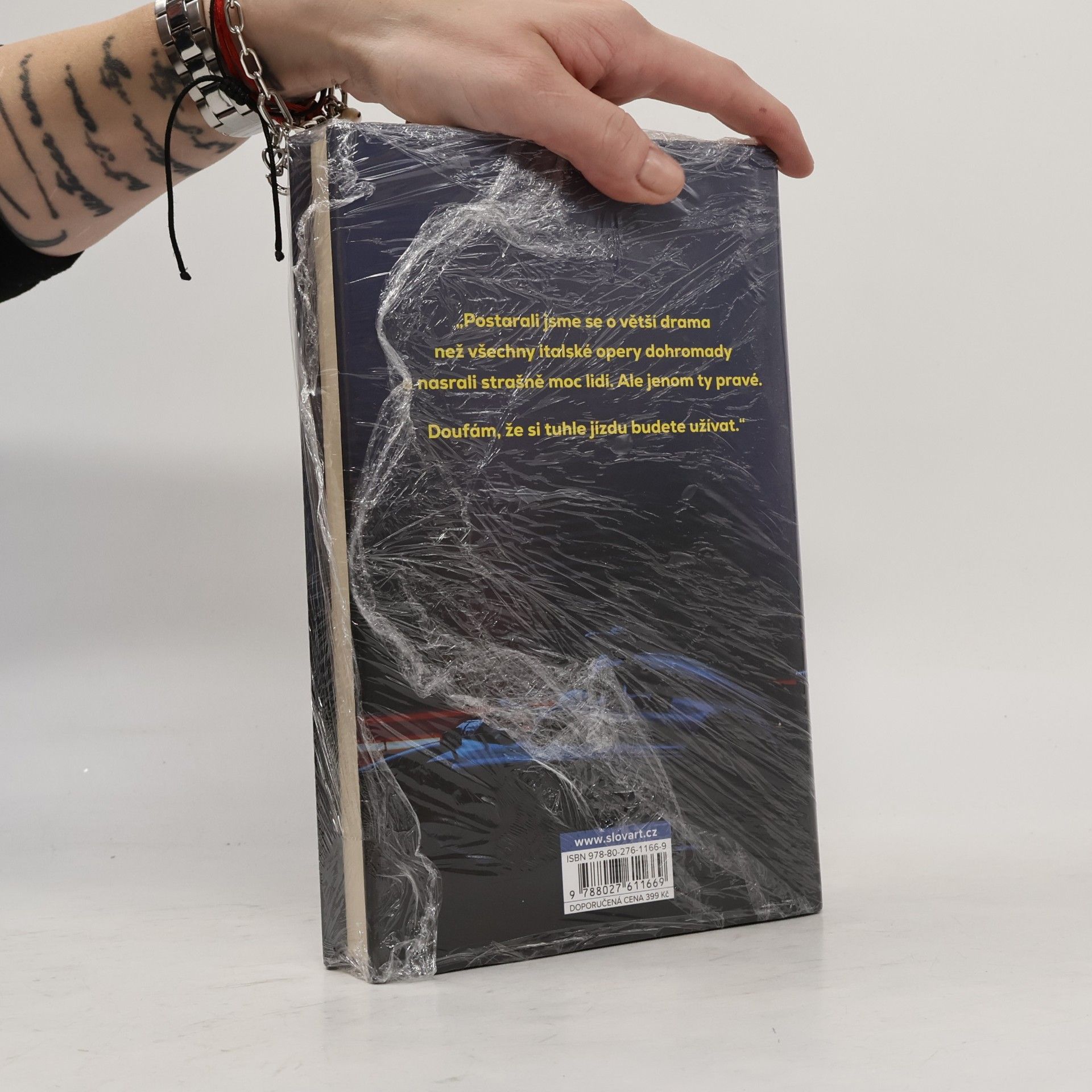 Guenther Steiner Na plnou hubu. Parádní desetiletí ve formuli 1