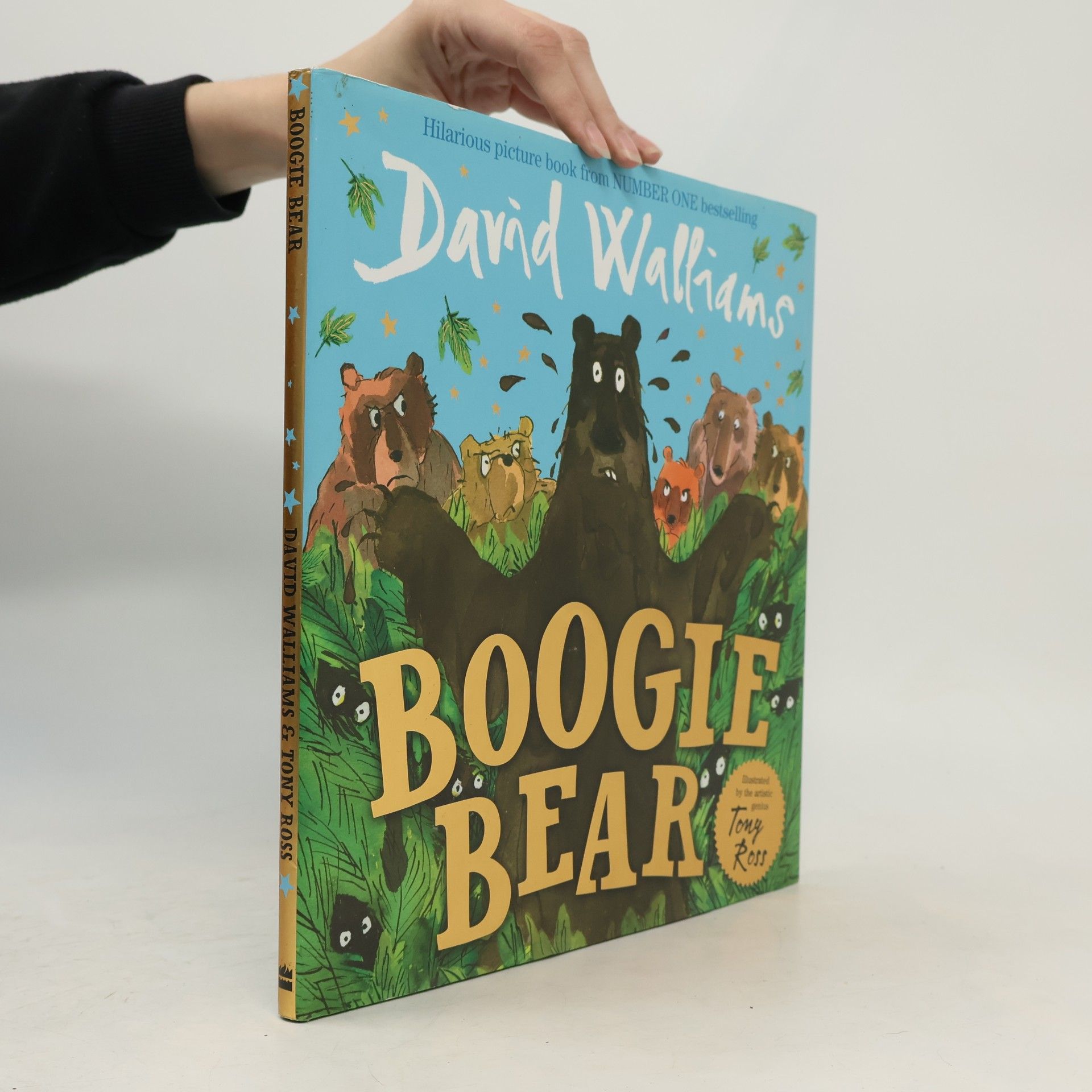 David Walliams Boogie Bear