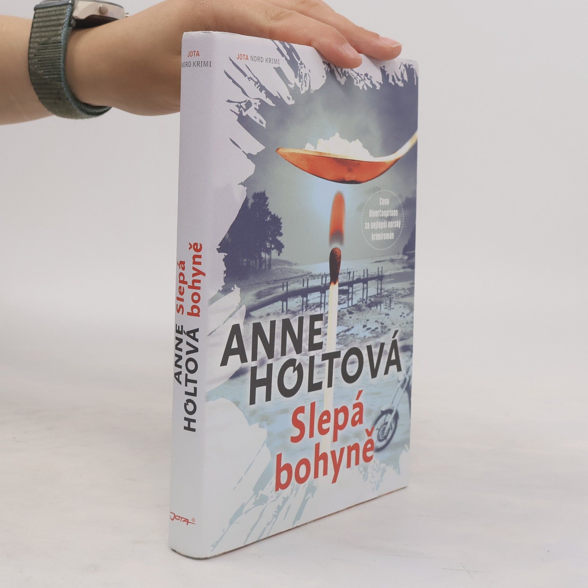 Anne Holt Slepá bohyně