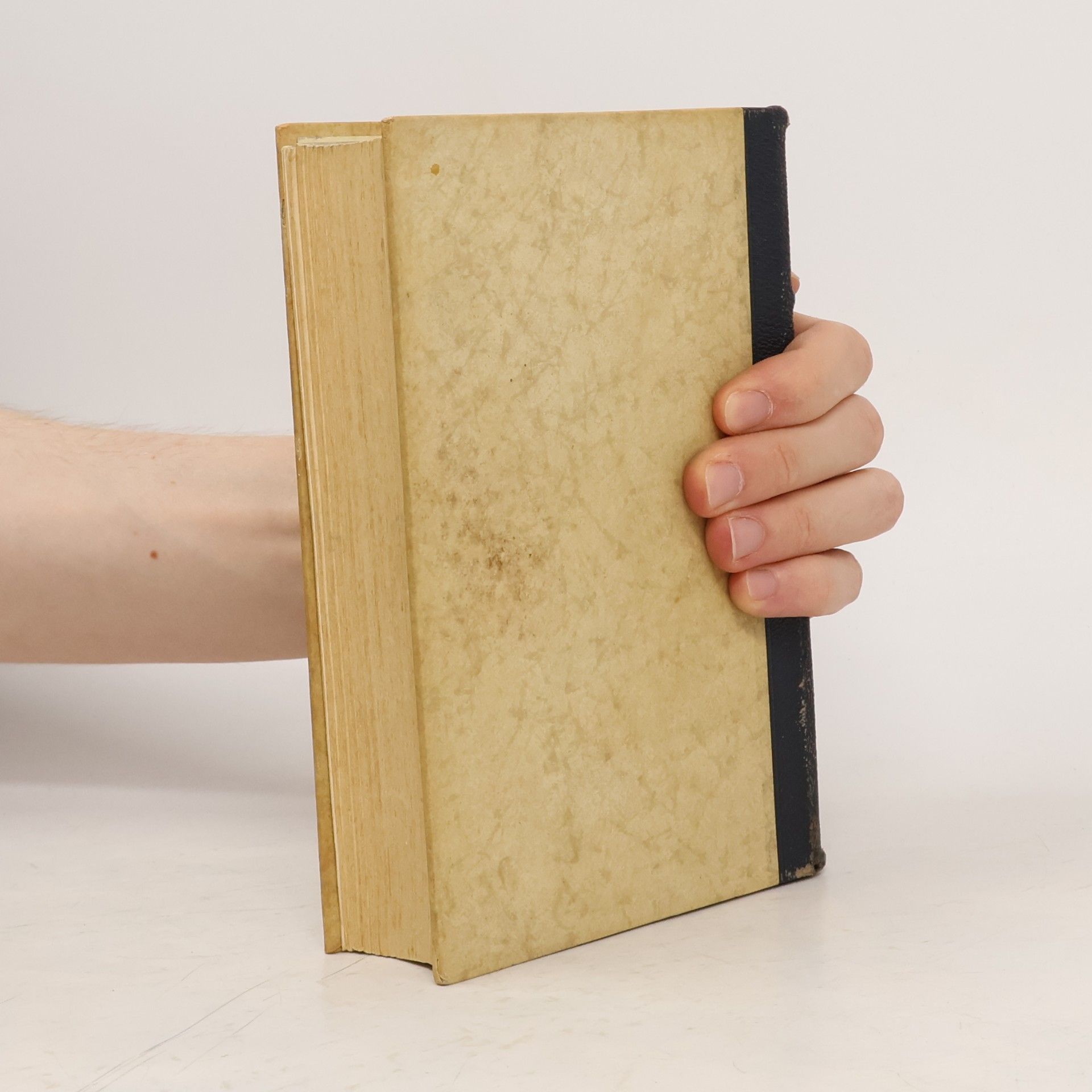 Adolf Hitler Mein Kampf