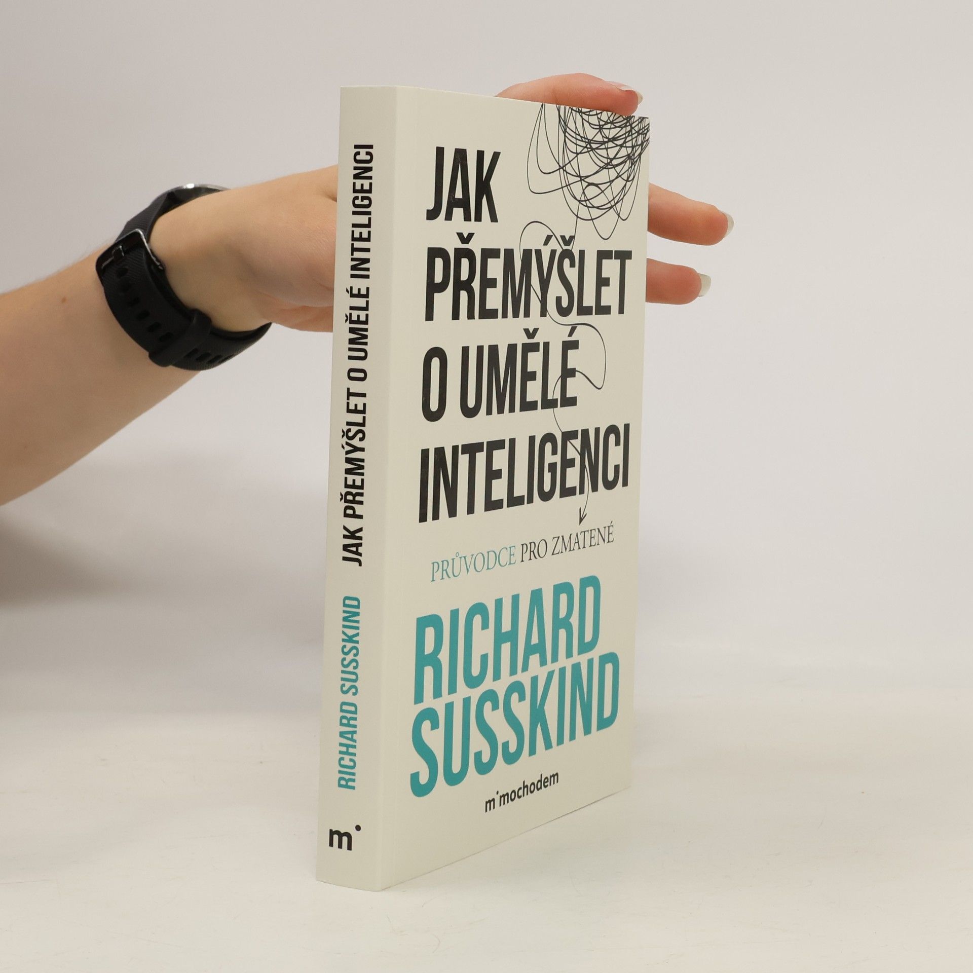 Richard E. (Richard Eric) Susskind Jak přemýšlet o umělé inteligenci