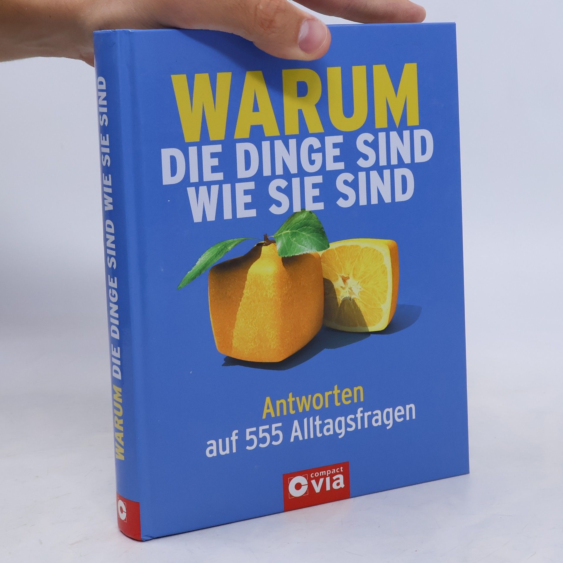 Karolin Küntzel Warum die Dinge sind, wie sie sind