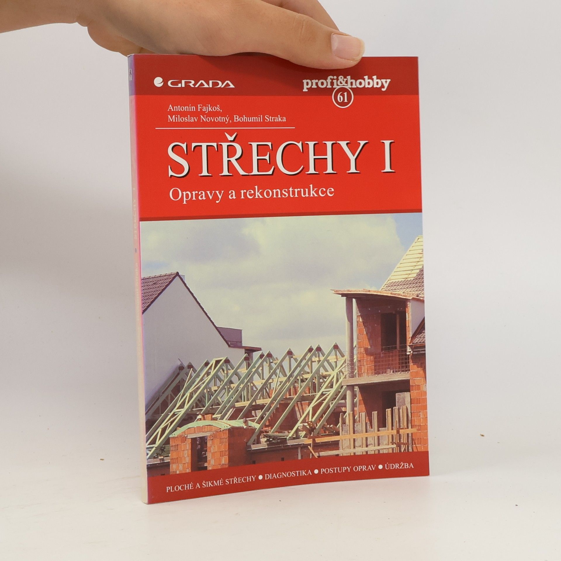 Střechy I