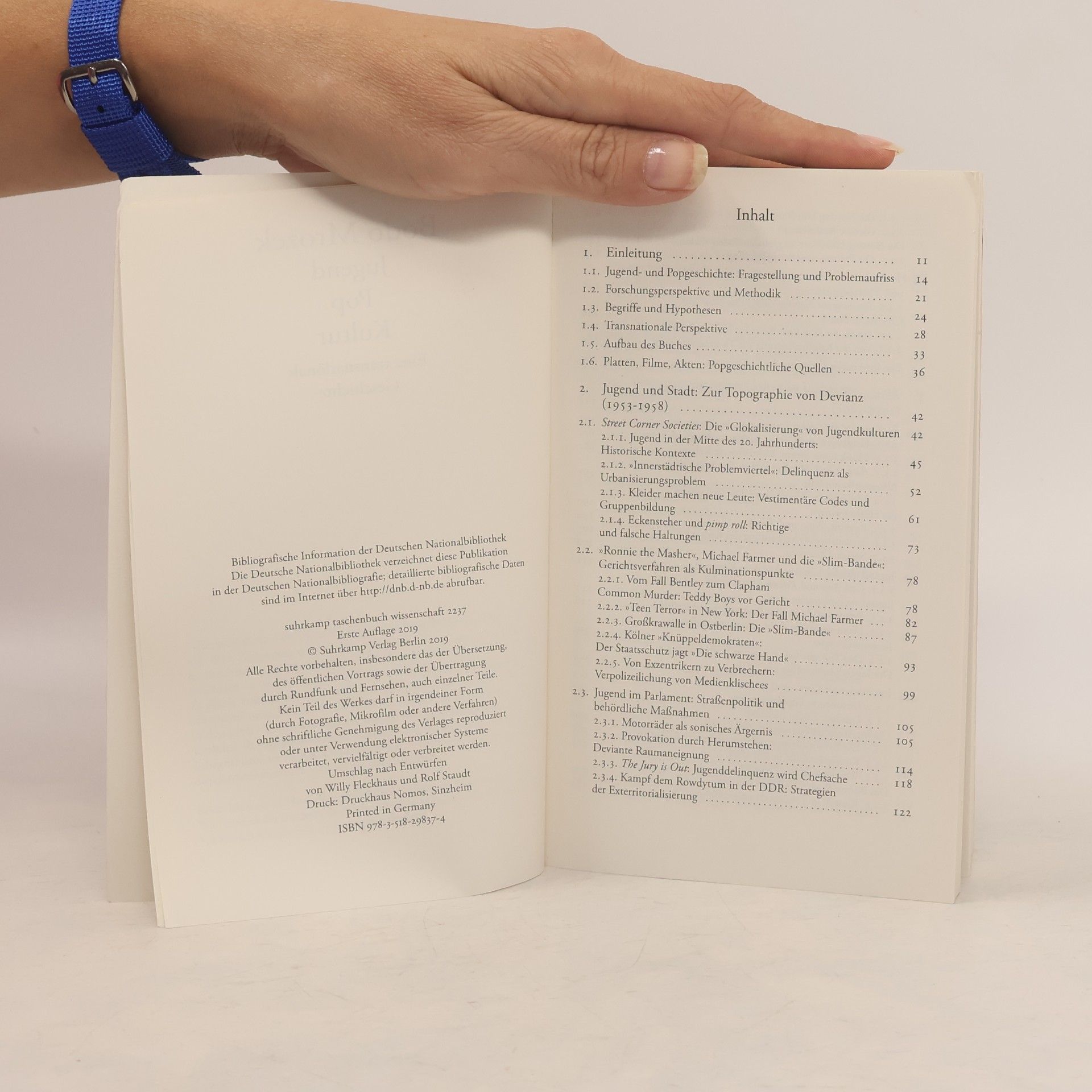 Bodo Mrozek Suhrkamp Taschenbuch Wissenschaft - 2237: Jugend, Pop, Kultur