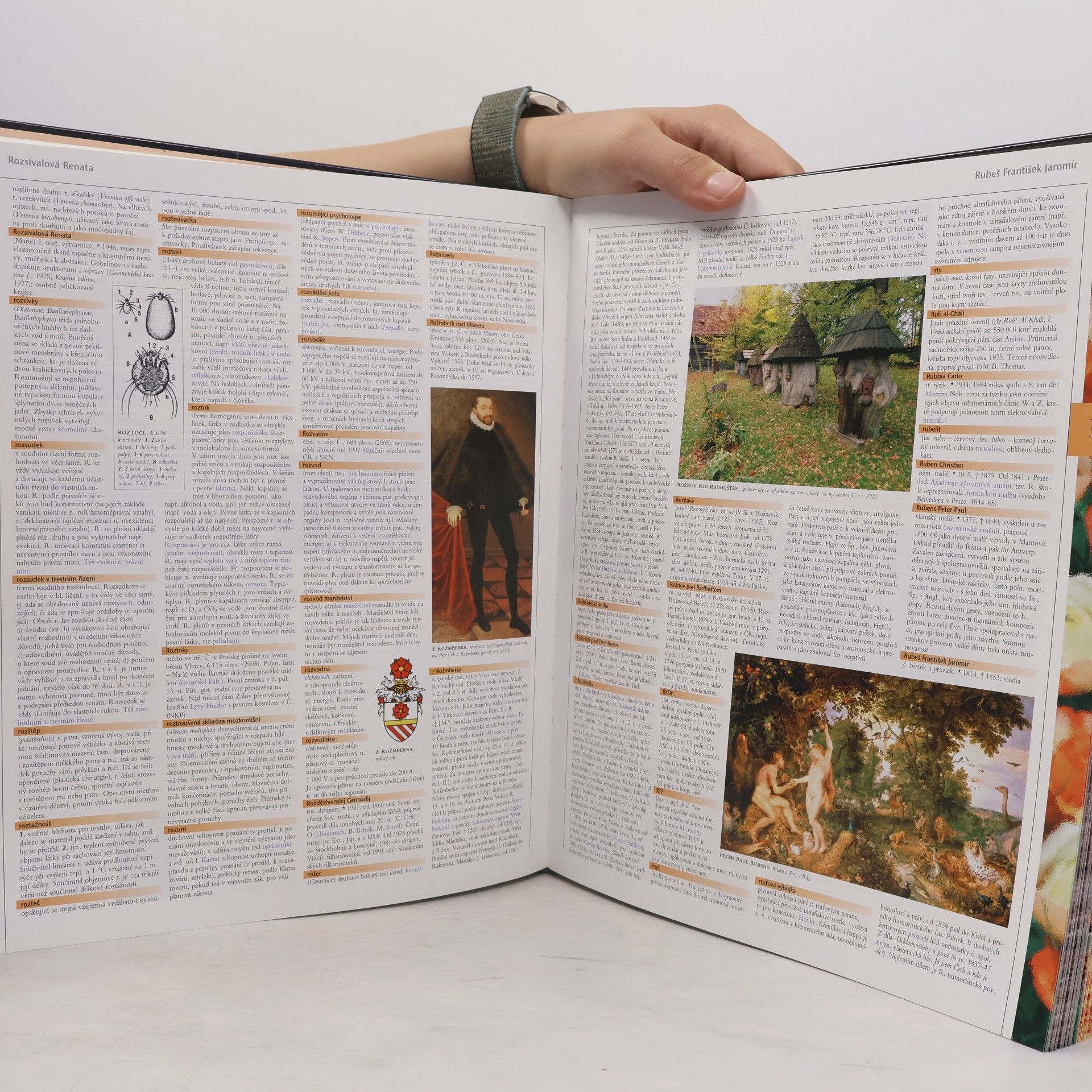 Autorenkollektiv Universum N-Ž. Encyklopedie pro 21. století