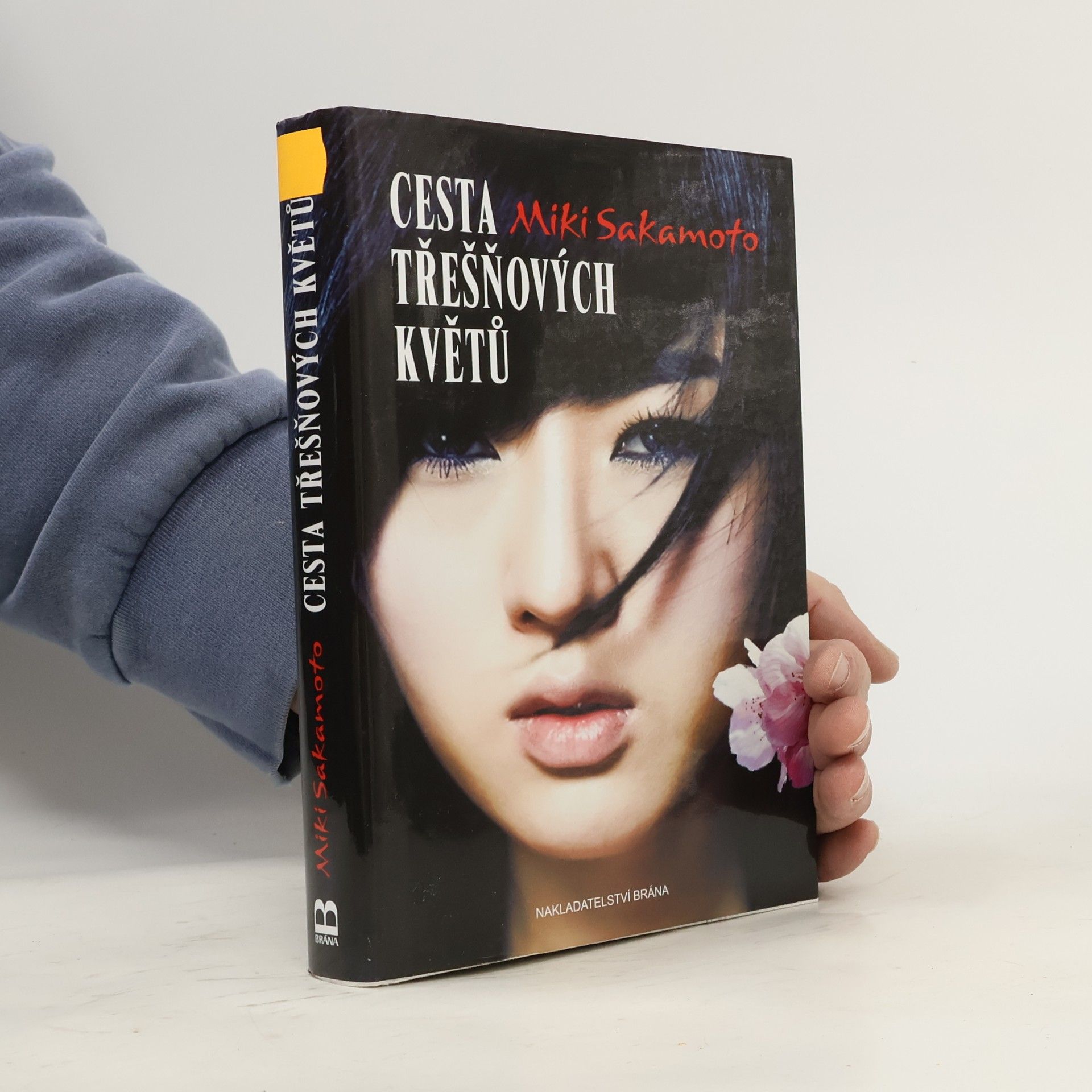Miki Sakamoto Cesta třešňových květů: příběh Nao z rodu samurajů