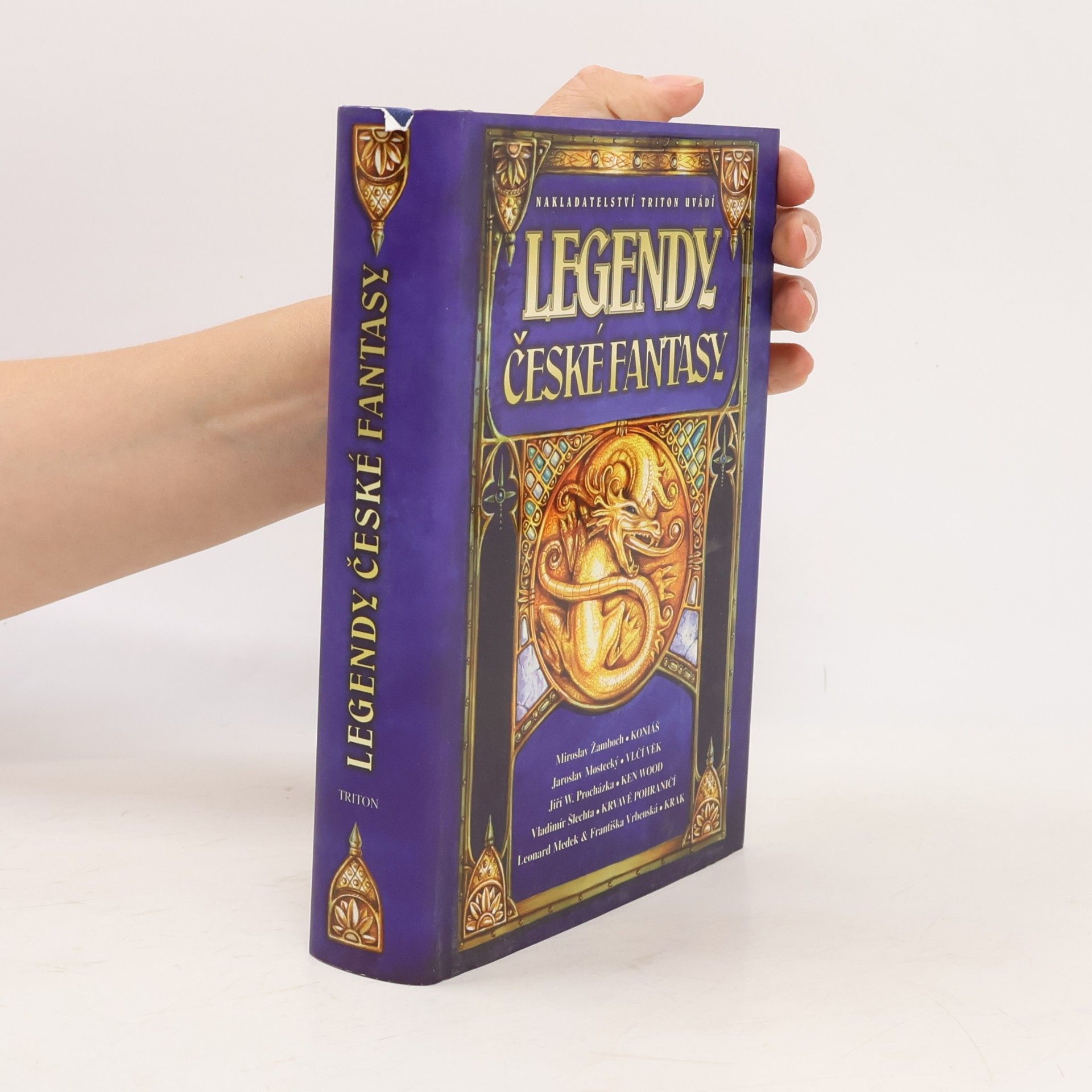 Autorenkollektiv Legendy české fantasy