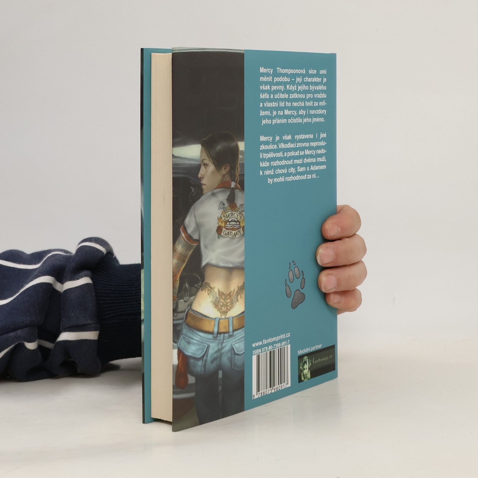 Patricia Briggs Železný polibek